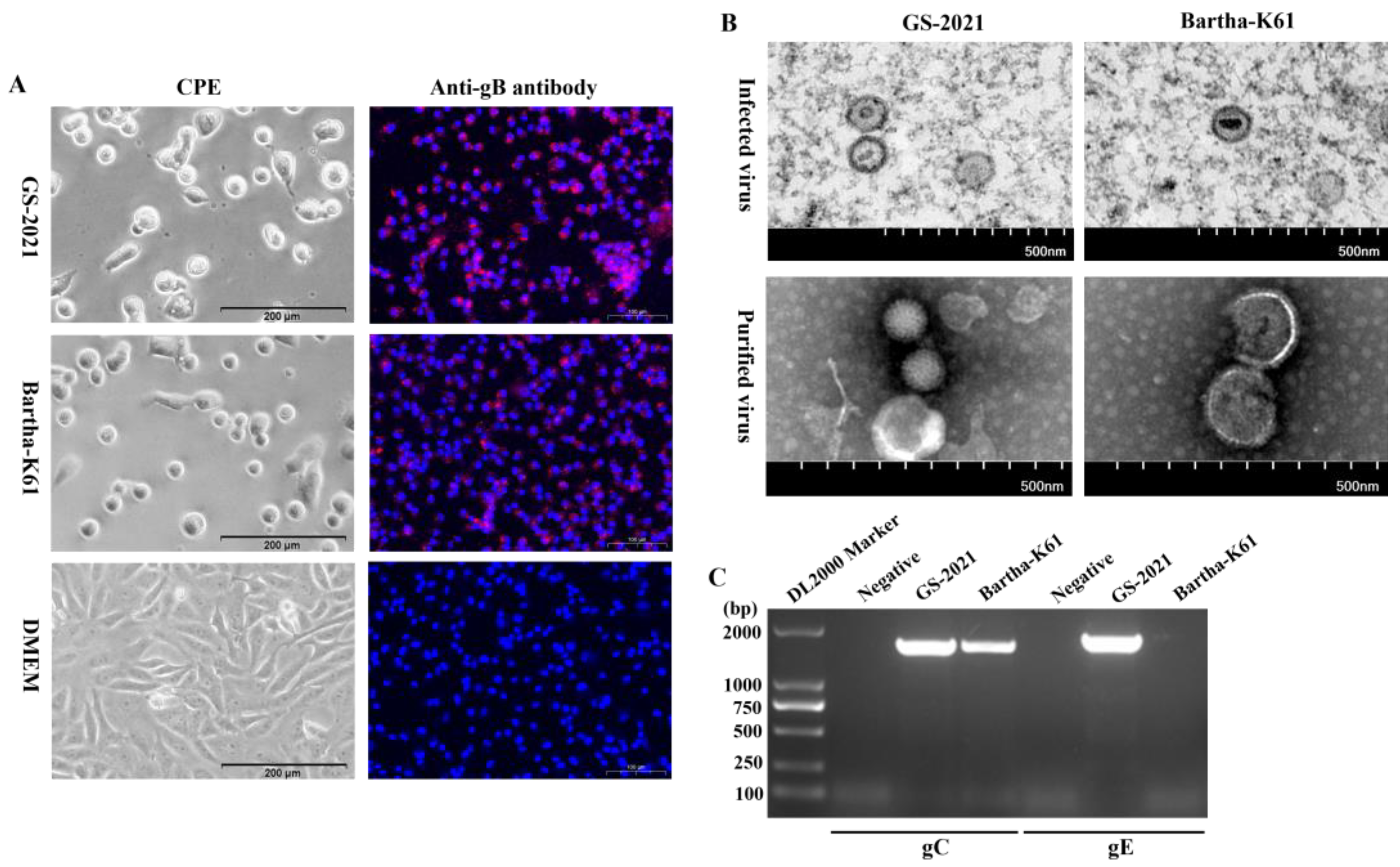 Preprints 152425 g002