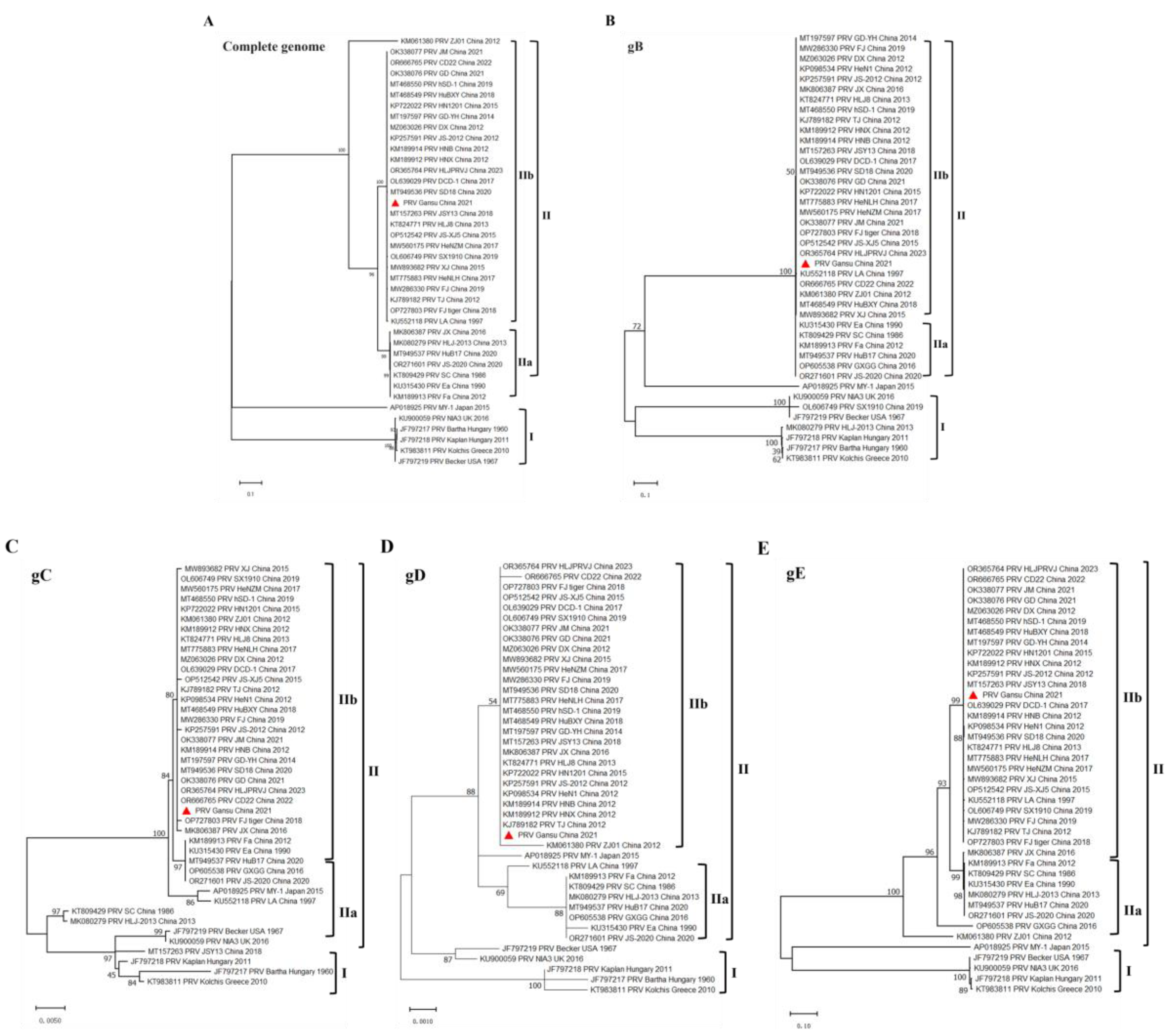 Preprints 152425 g005