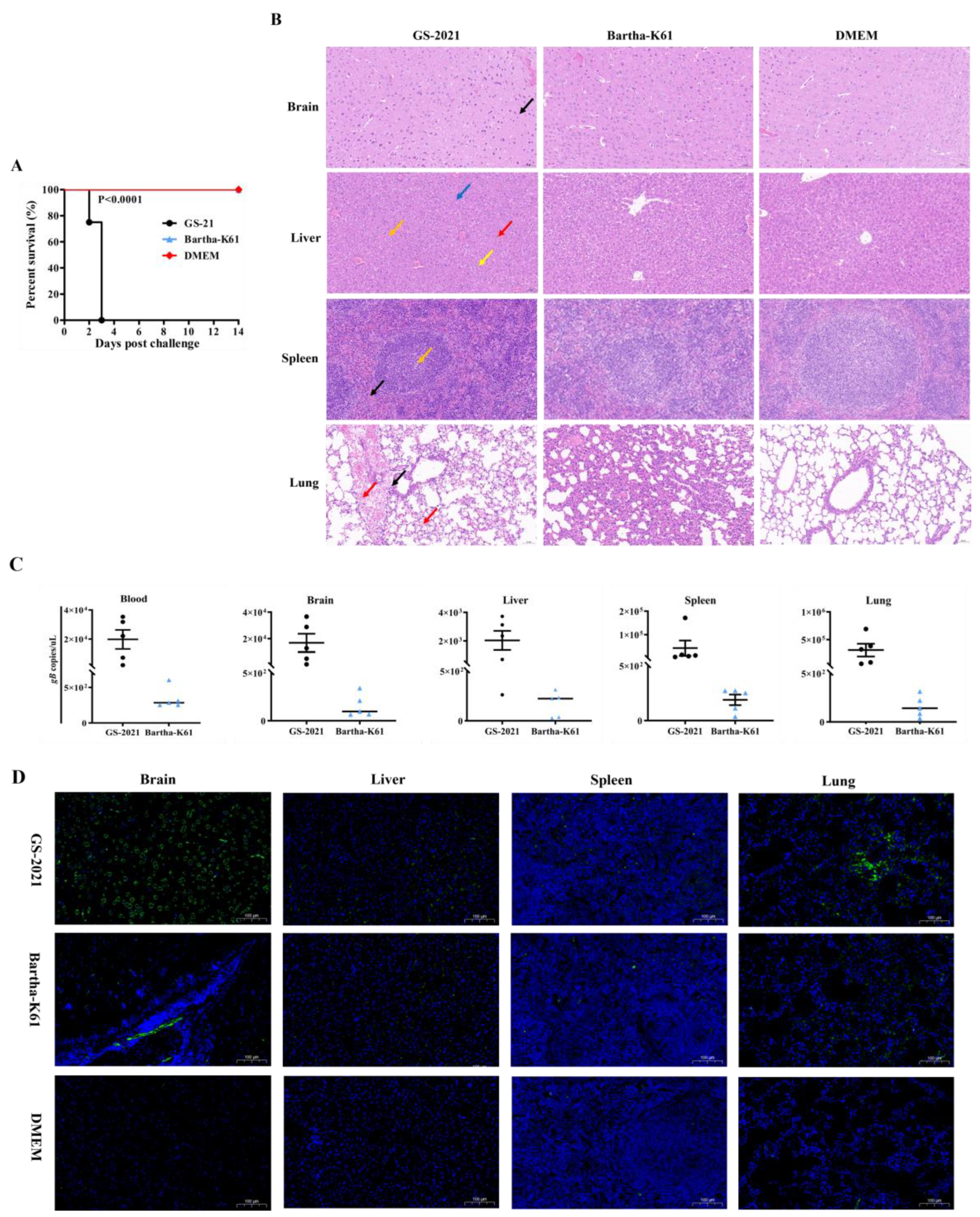 Preprints 152425 g006