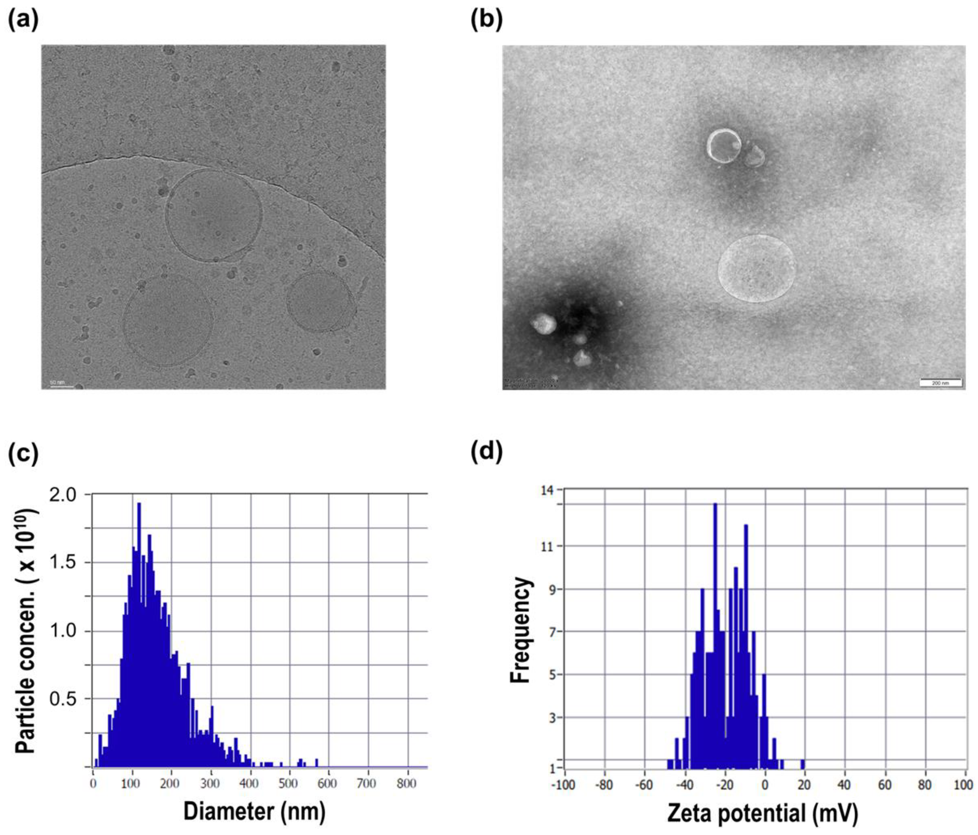 Preprints 200322 g002