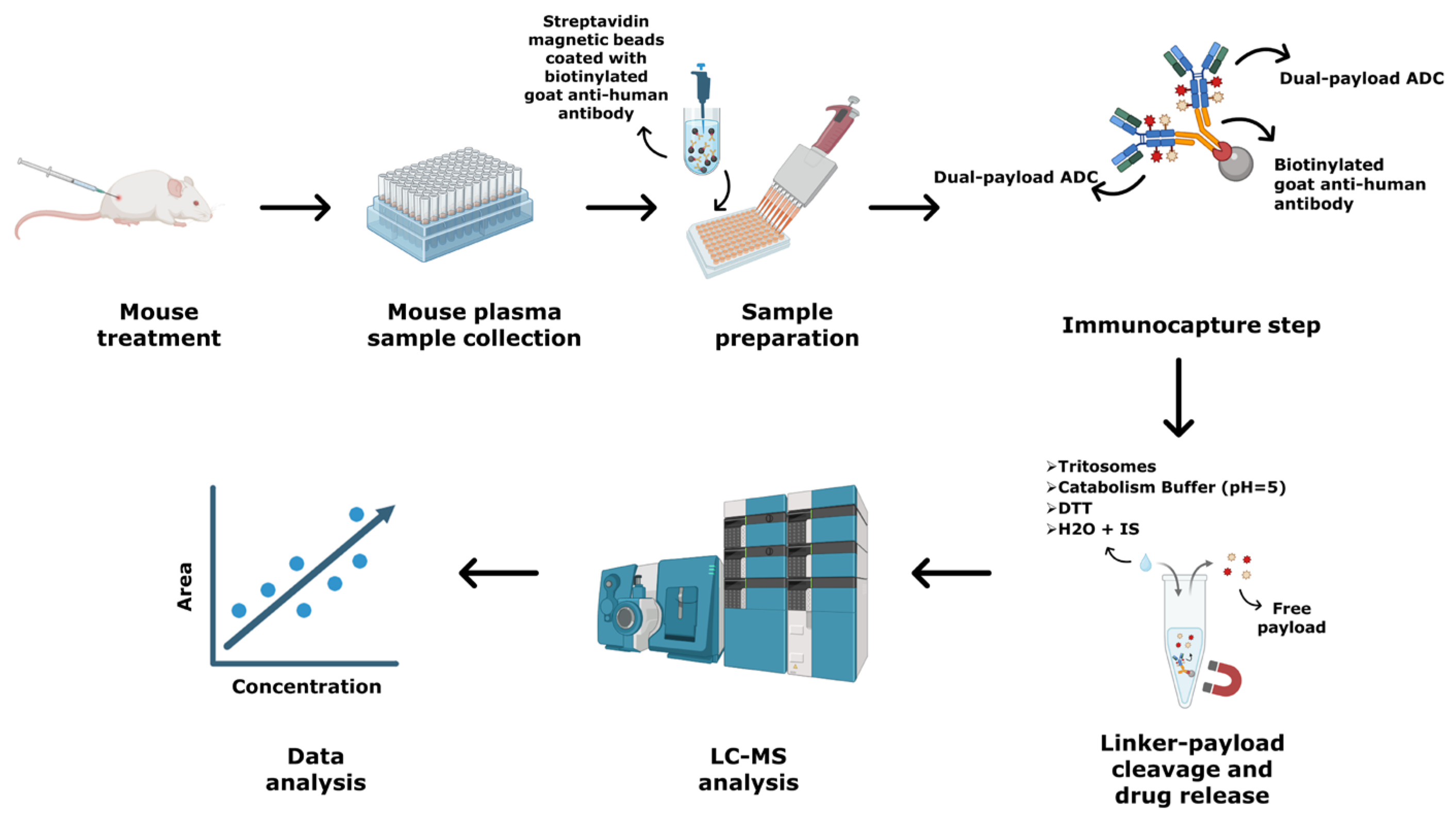 Preprints 216787 g001 Preprints 216787 g001
