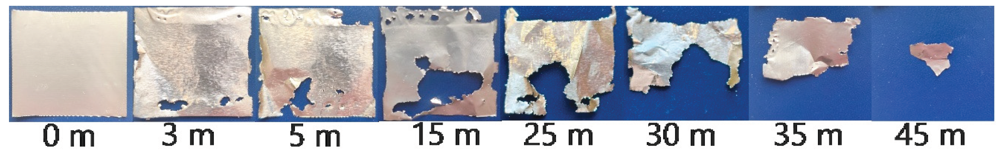 Preprints 200032 g005