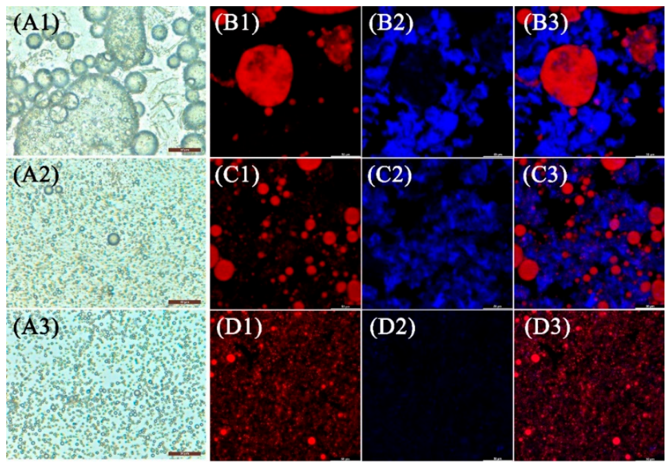 Preprints 218628 g006