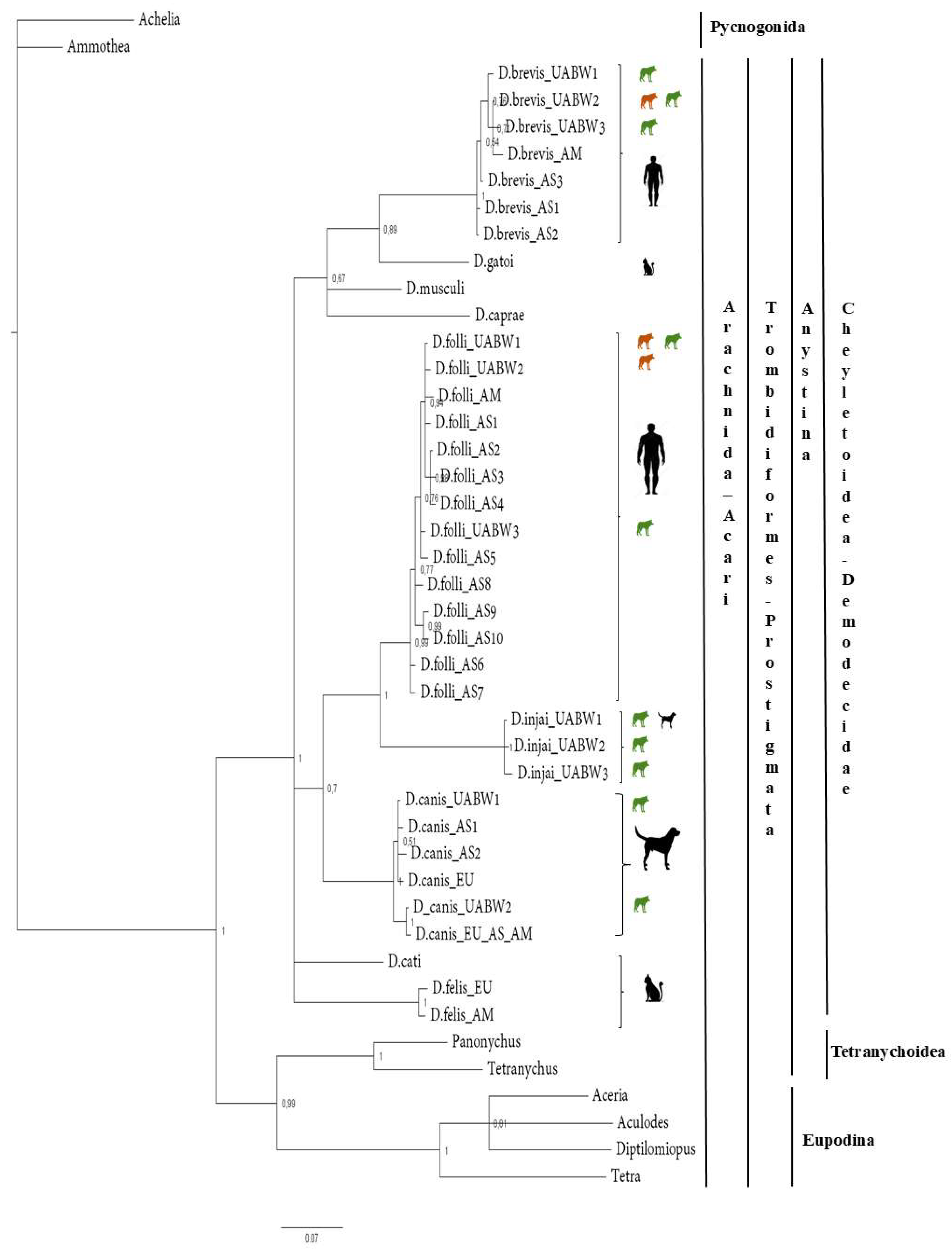 Preprints 198394 g001