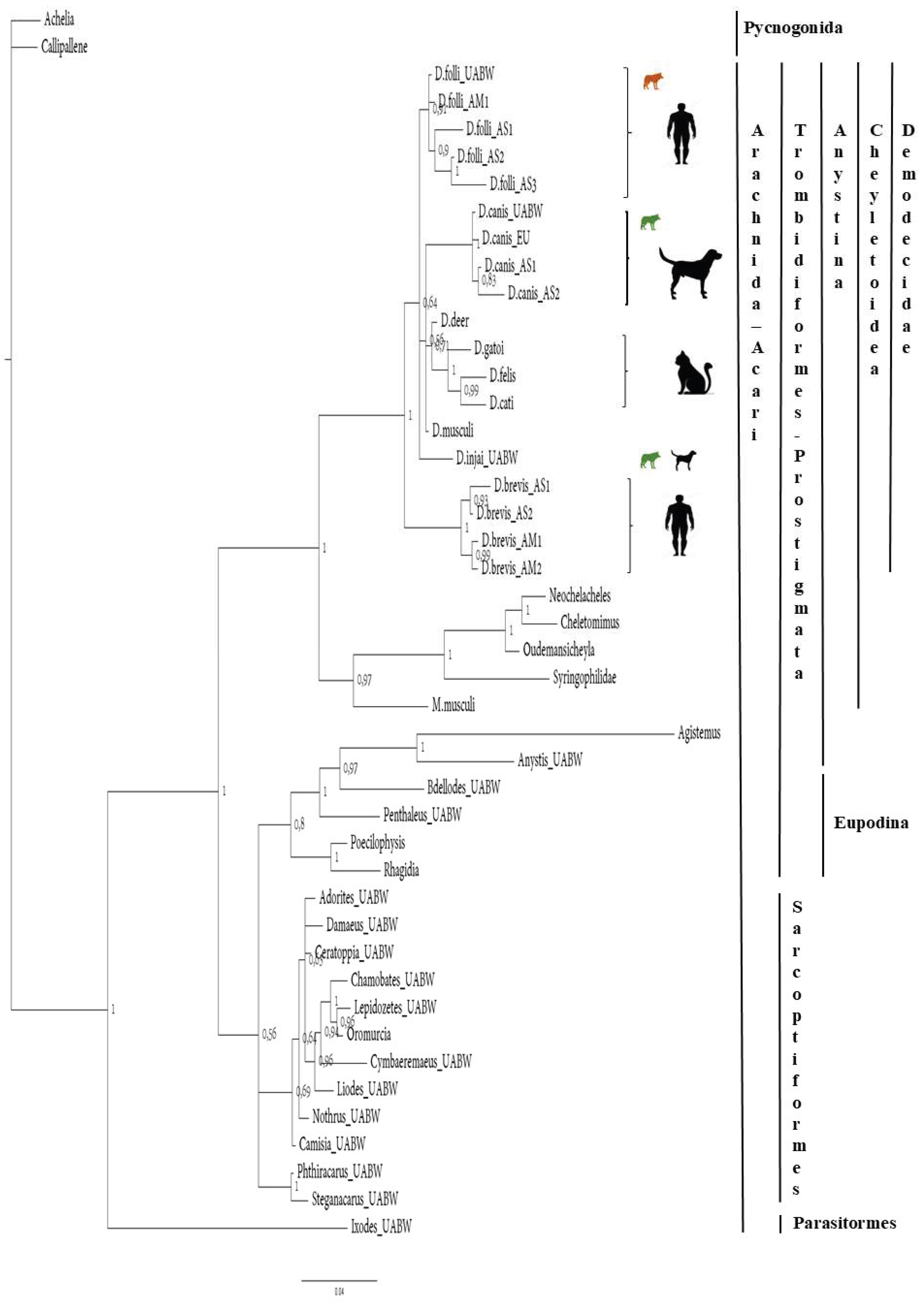 Preprints 198394 g002
