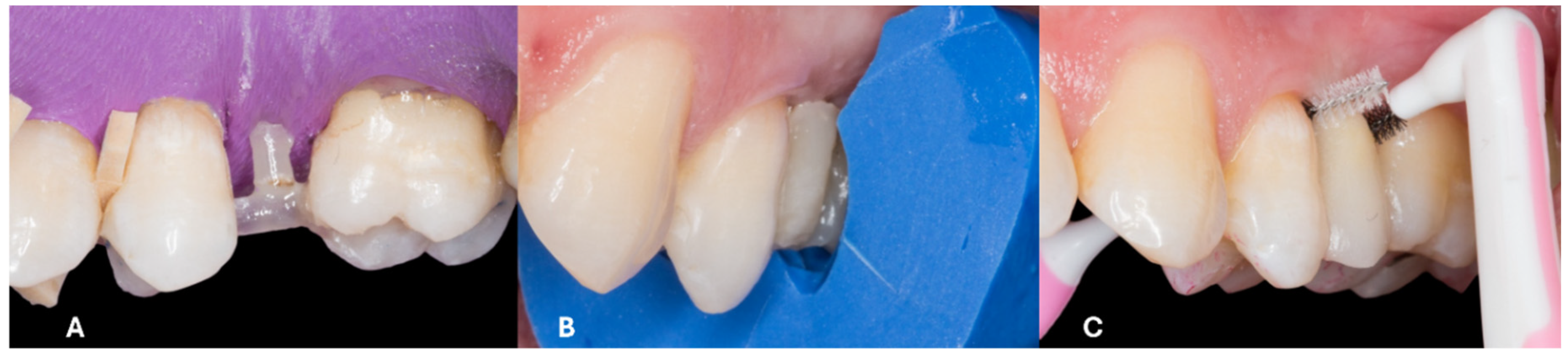 Preprints 154167 g002