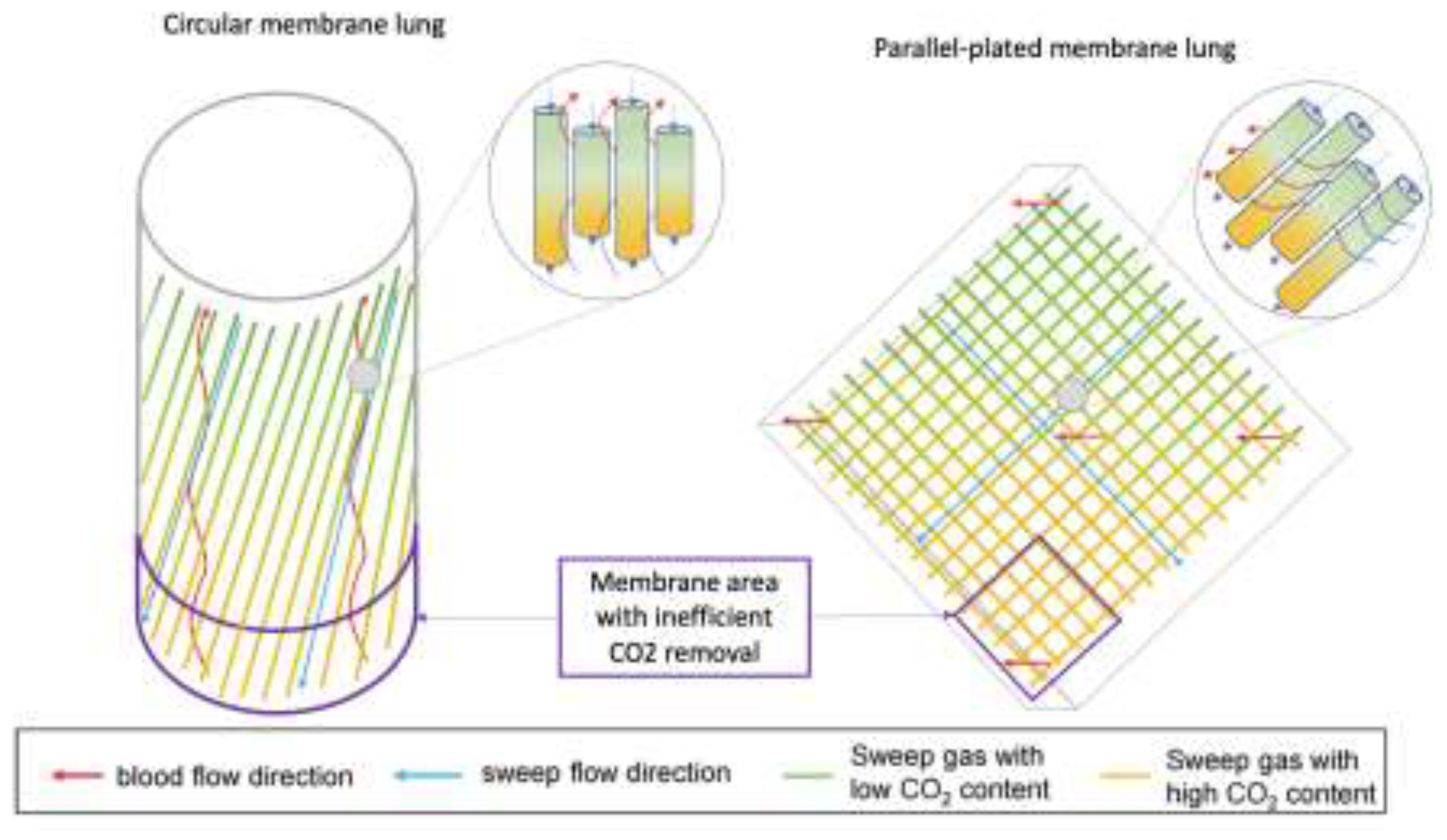 Preprints 141137 g002