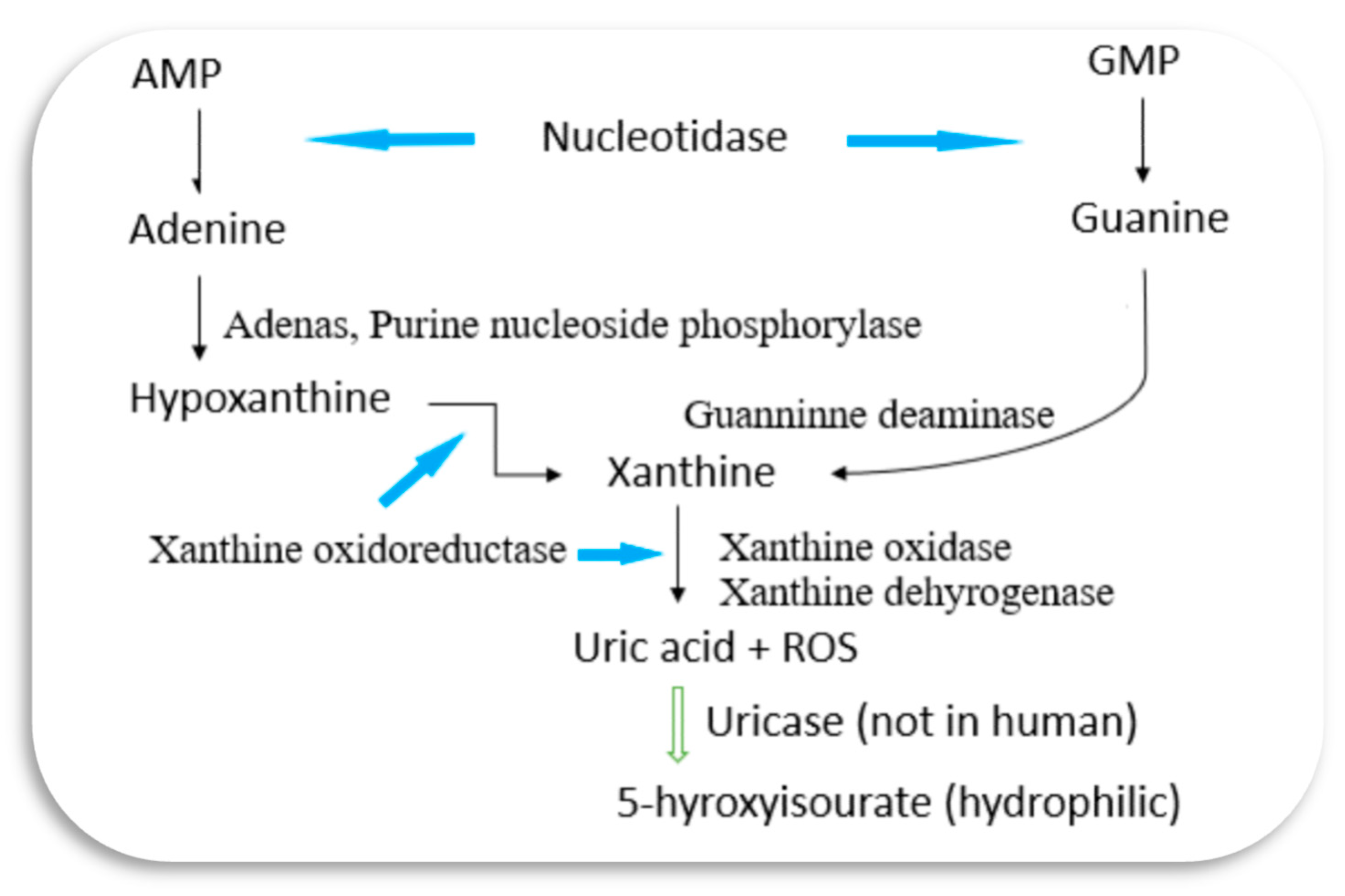 Preprints 109898 g001