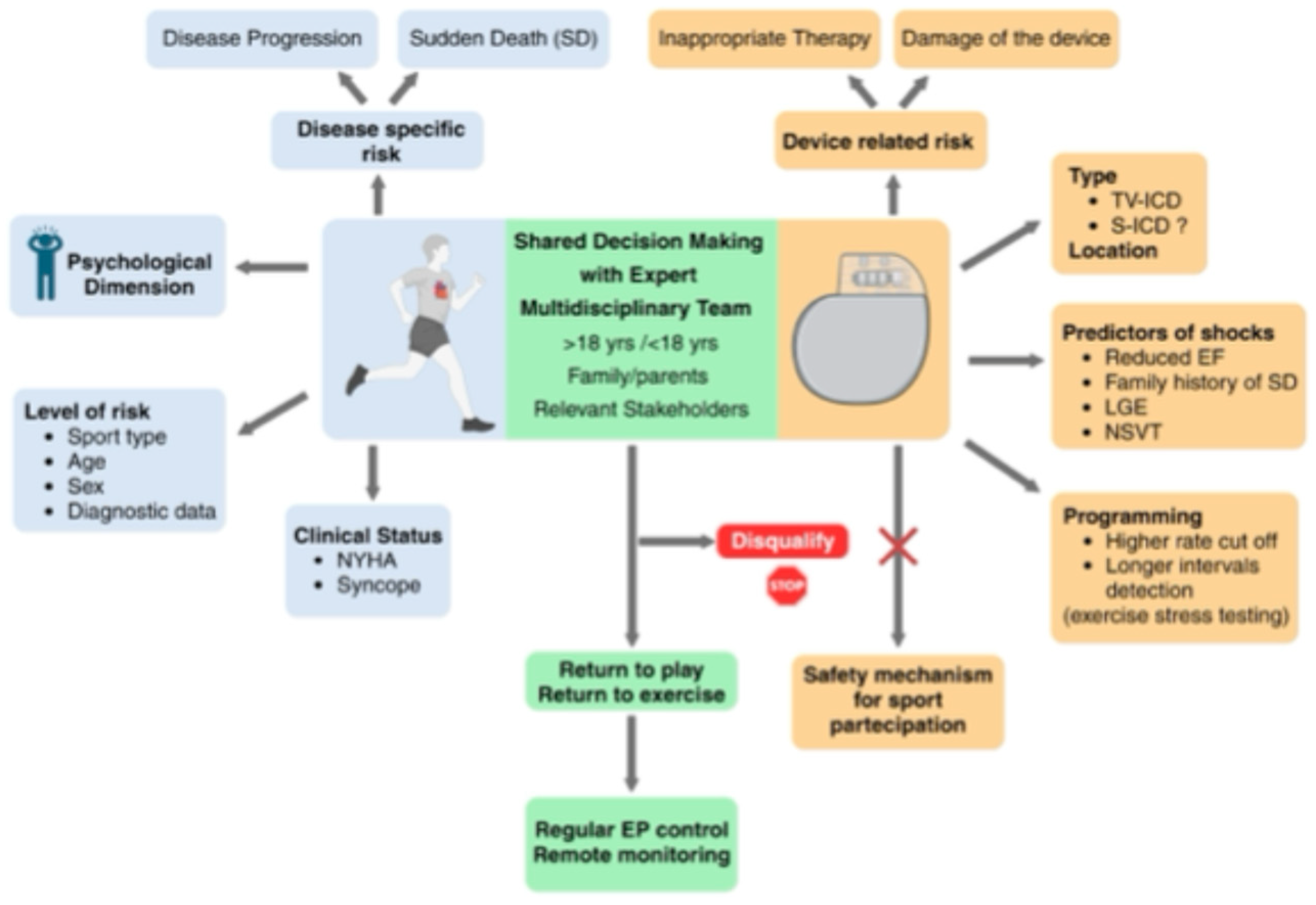 Preprints 181828 g002