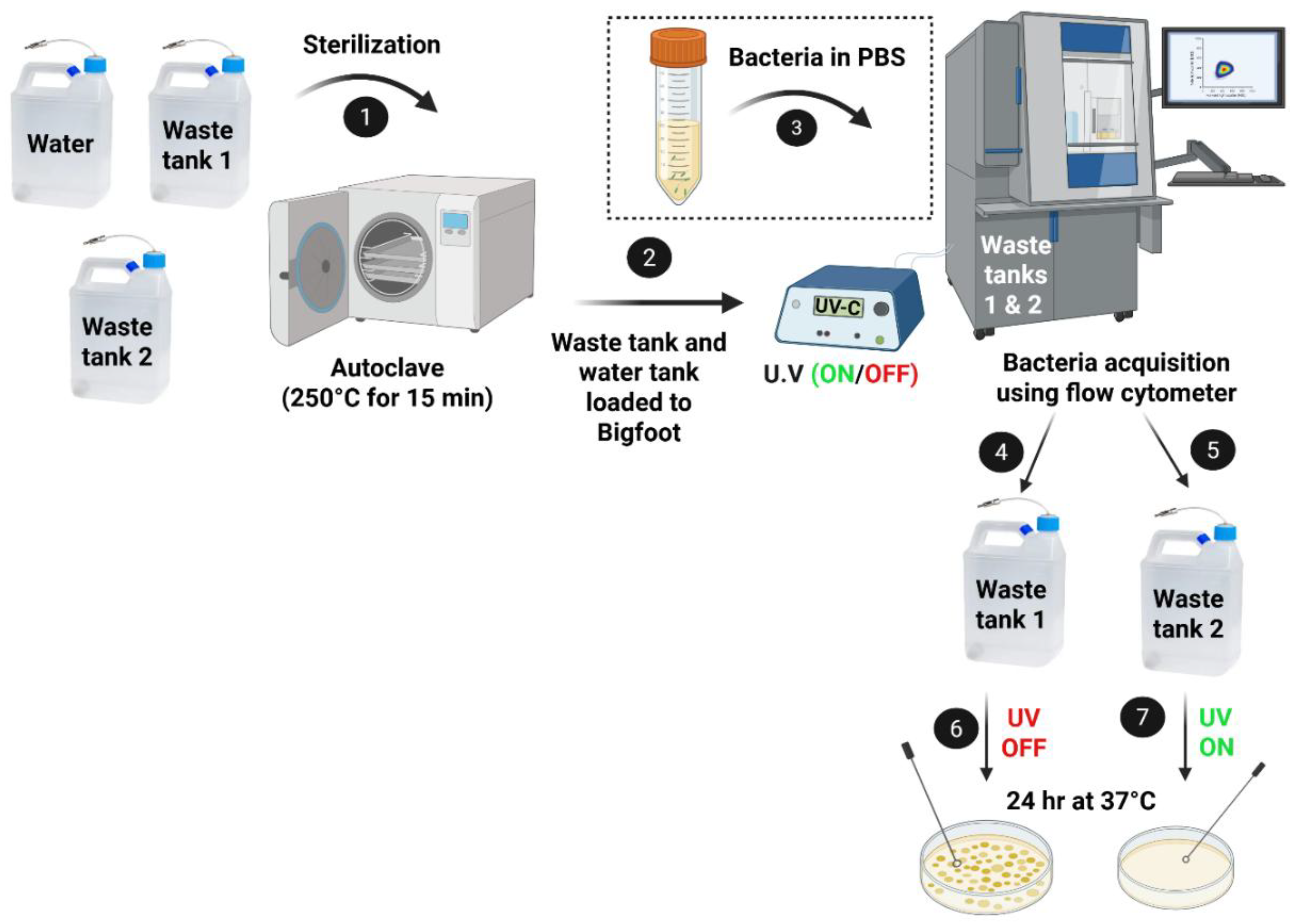 Preprints 182530 g002