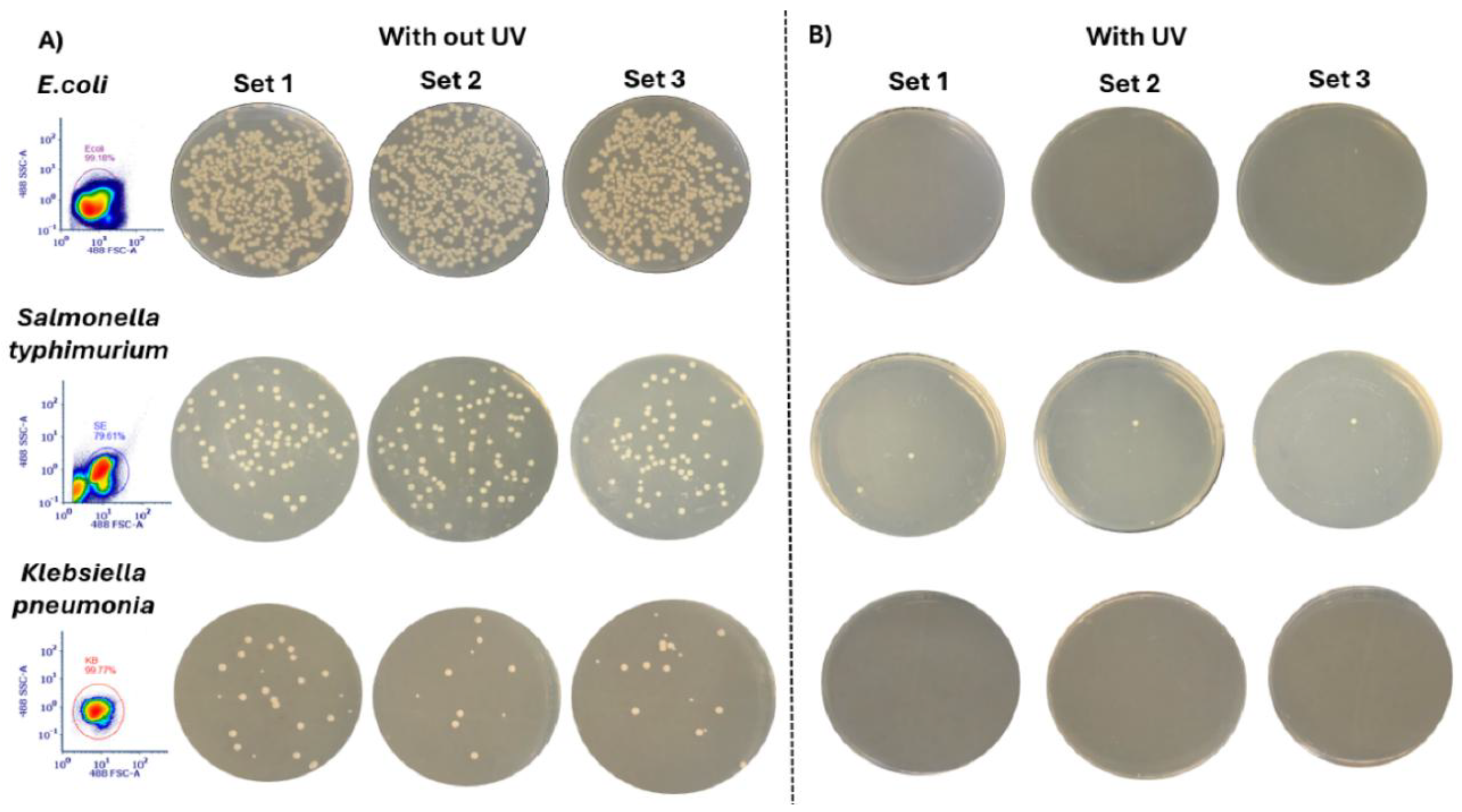 Preprints 182530 g003
