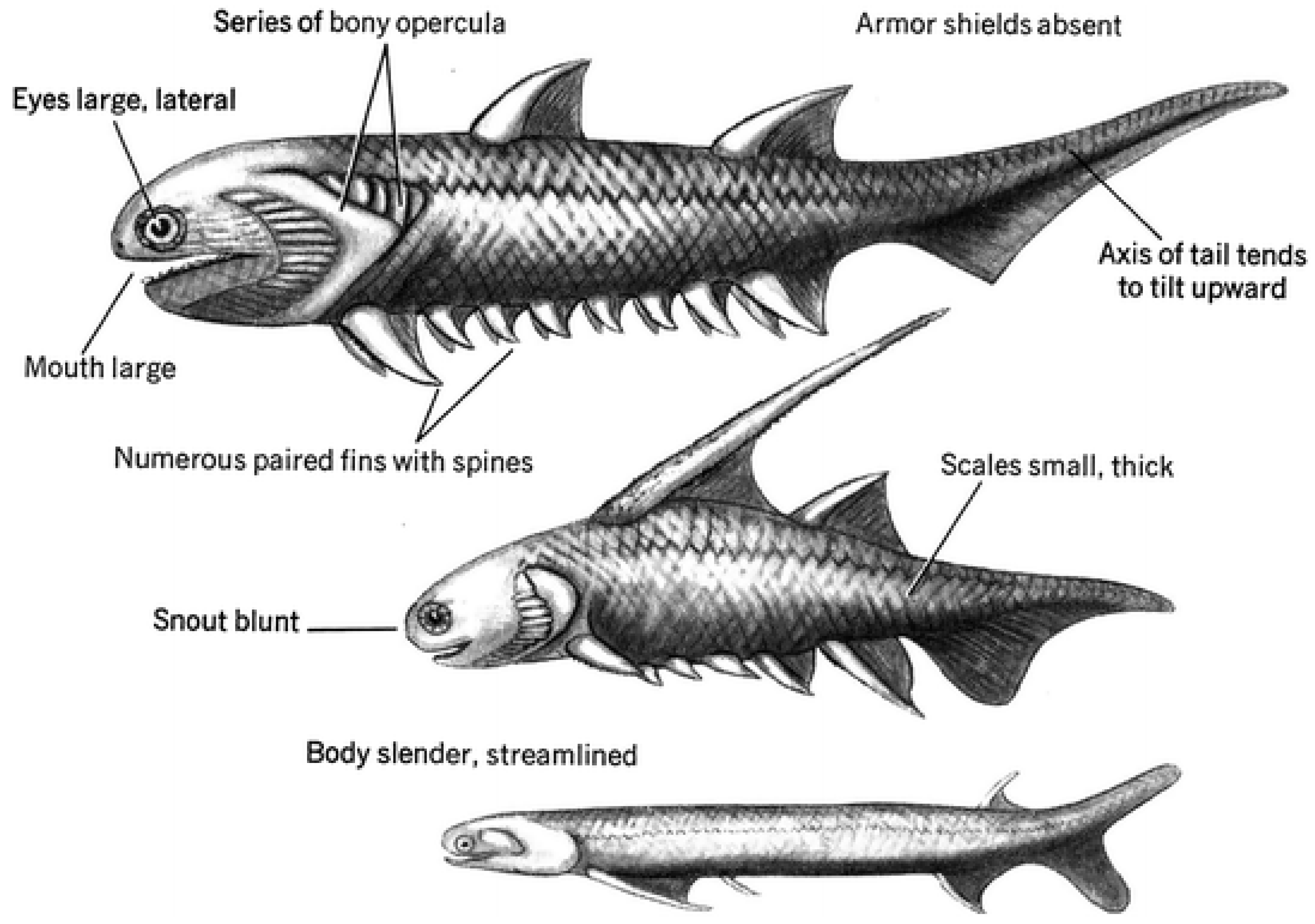 Preprints 137471 g001