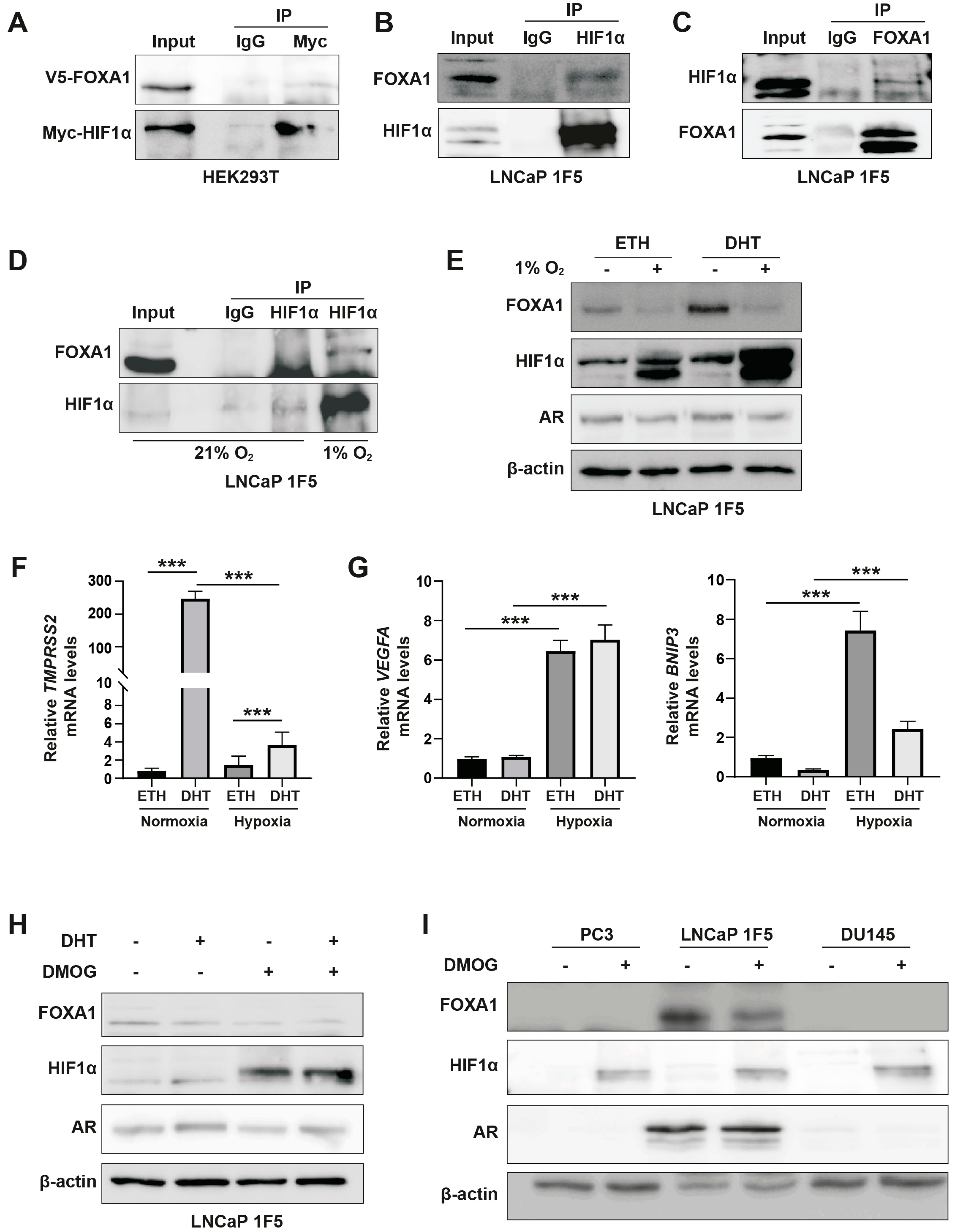 Preprints 159479 g002