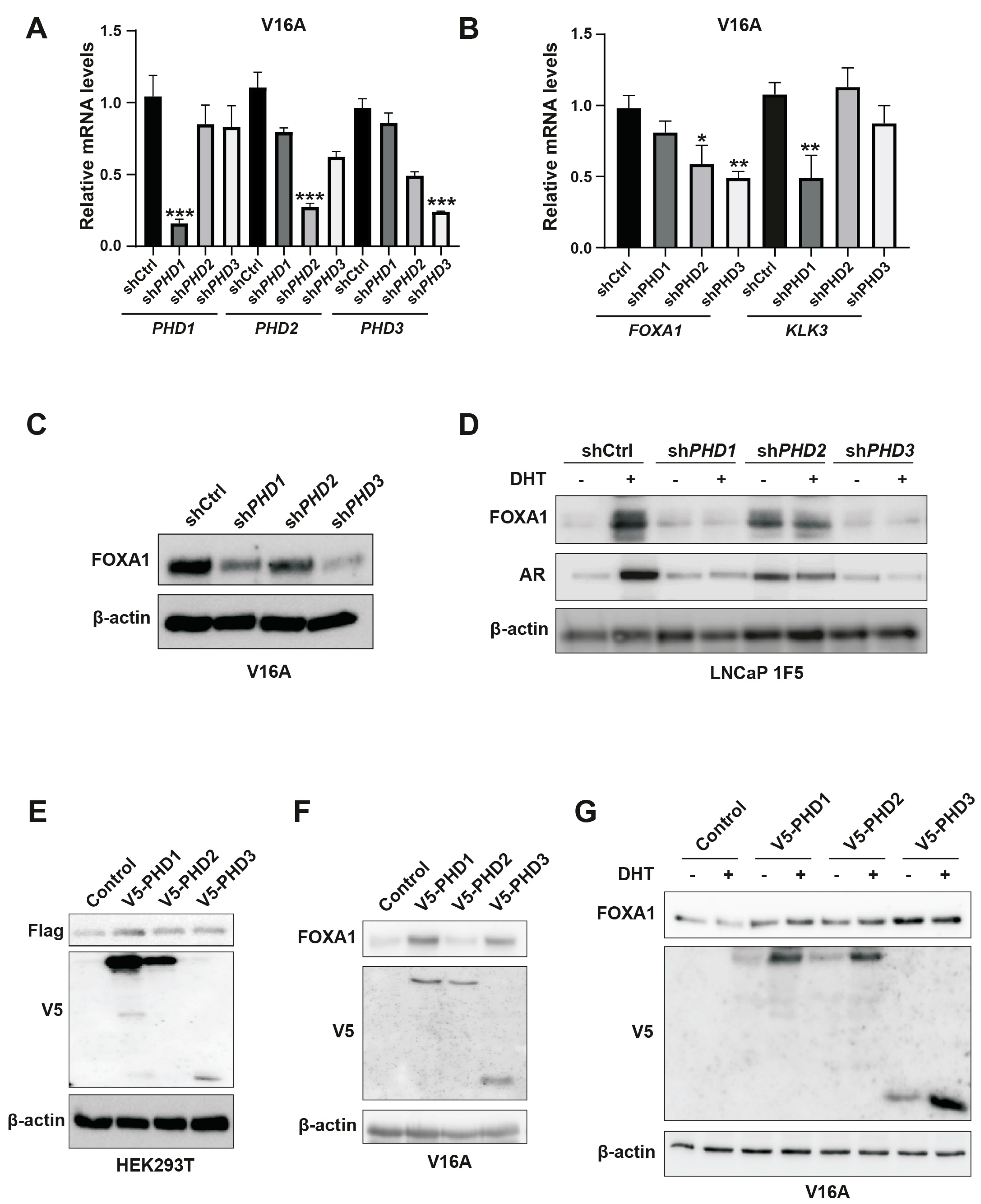 Preprints 159479 g004