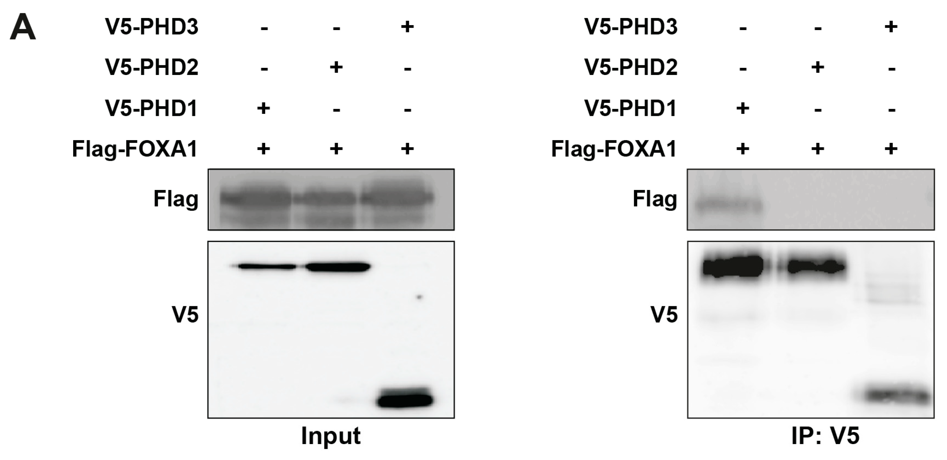 Preprints 159479 g005a
