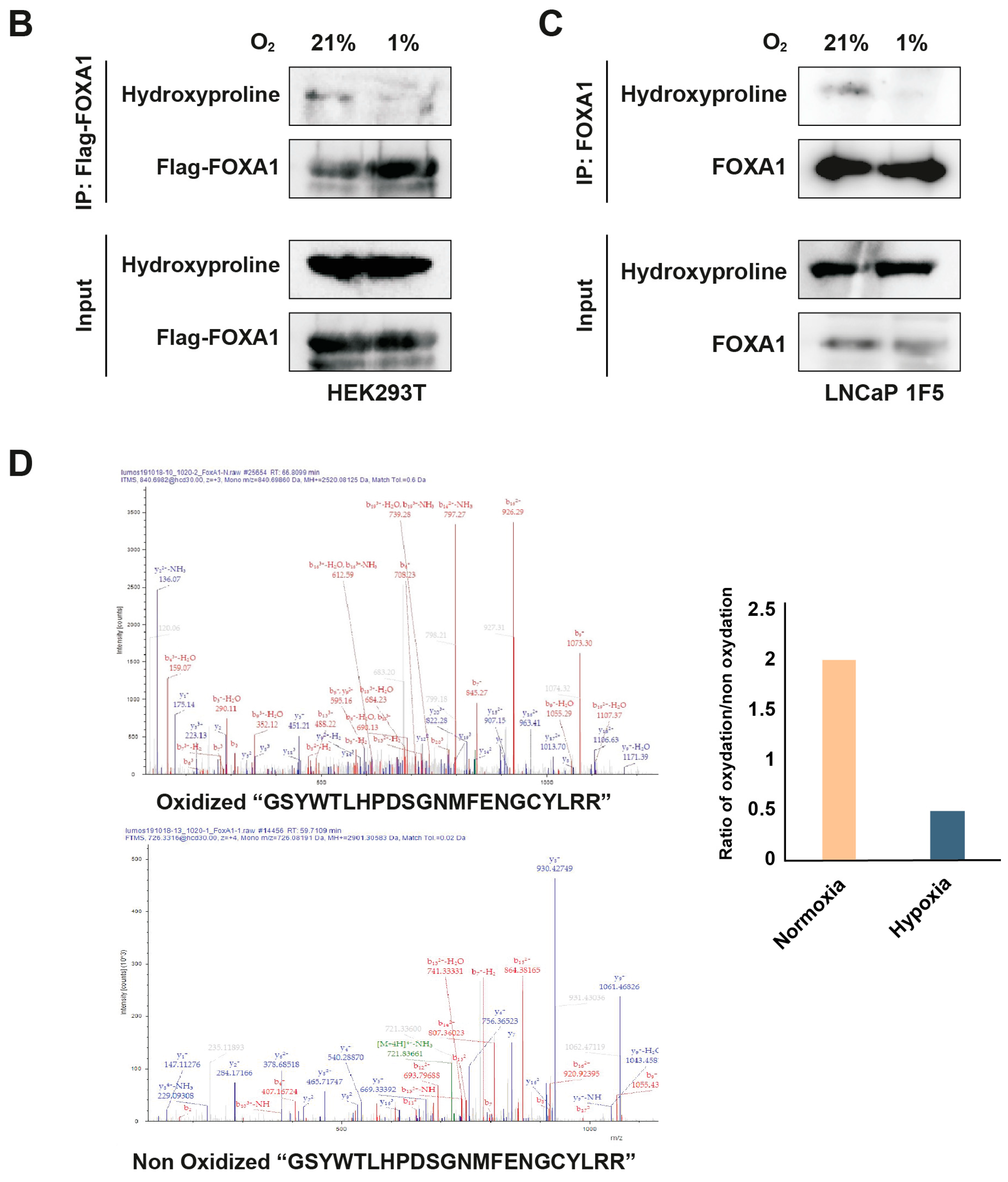 Preprints 159479 g005b