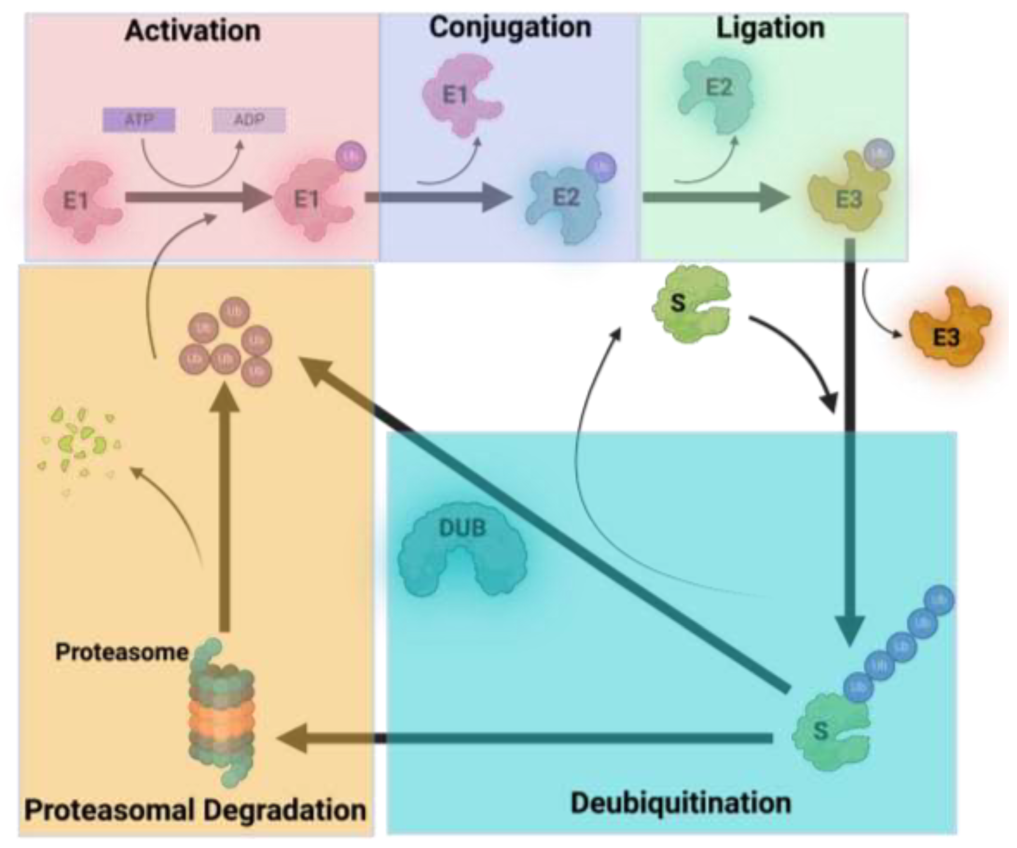 Preprints 201115 g001
