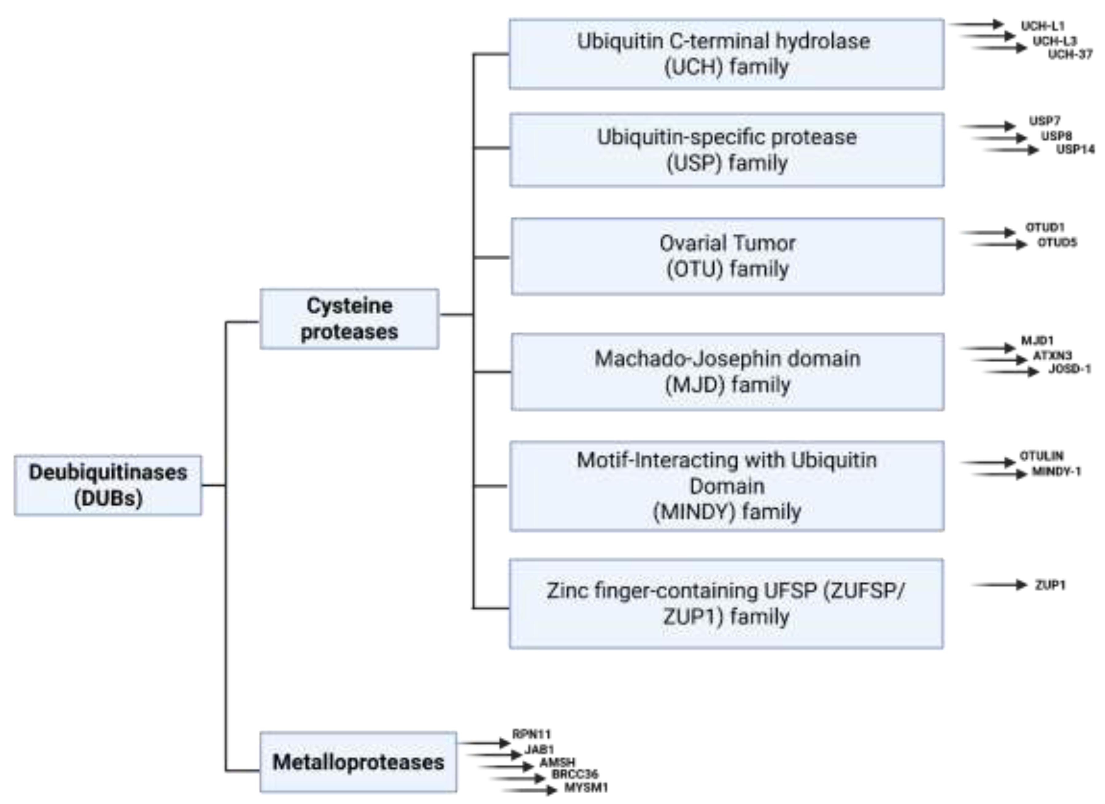 Preprints 201115 g002