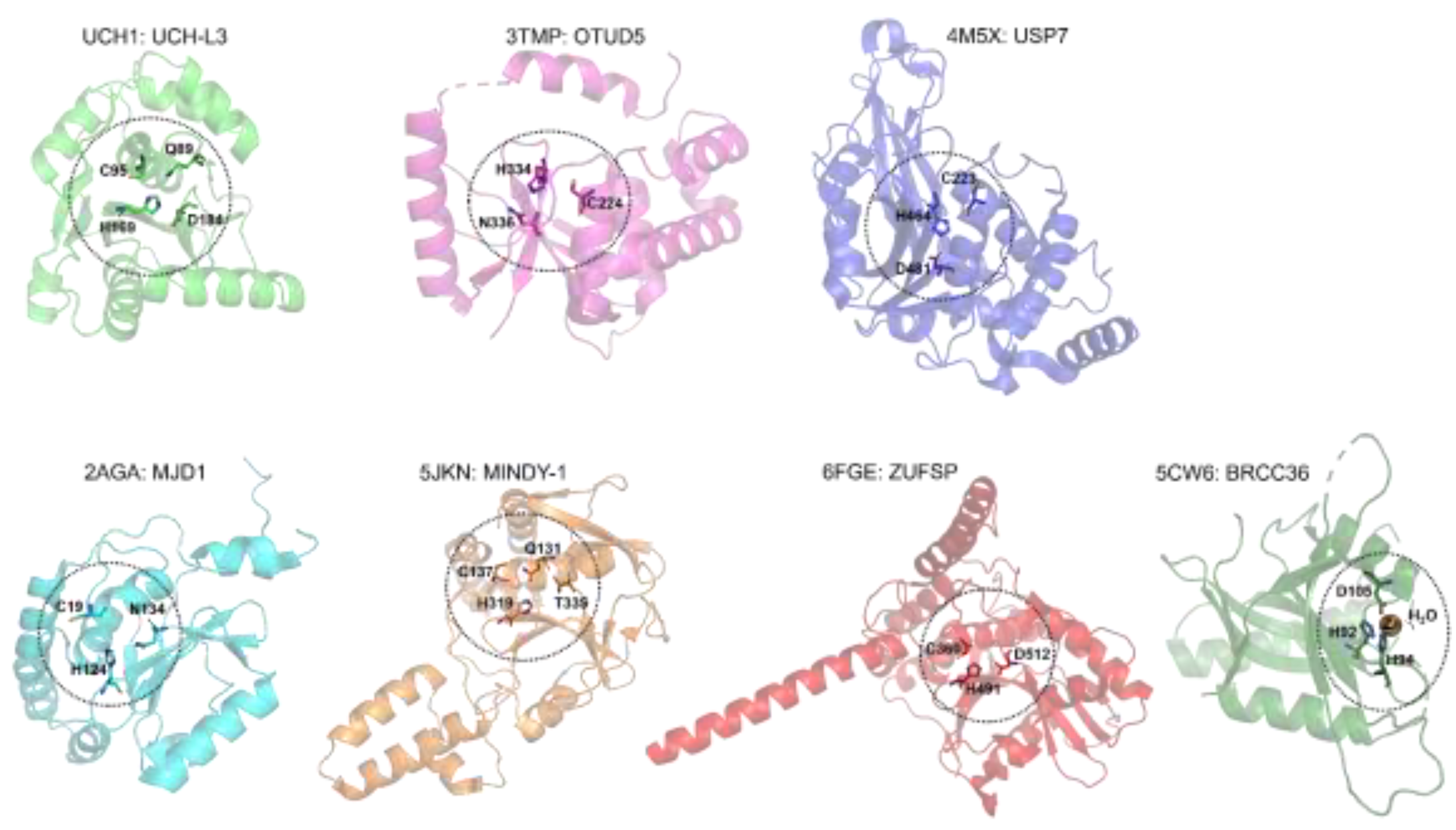 Preprints 201115 g003