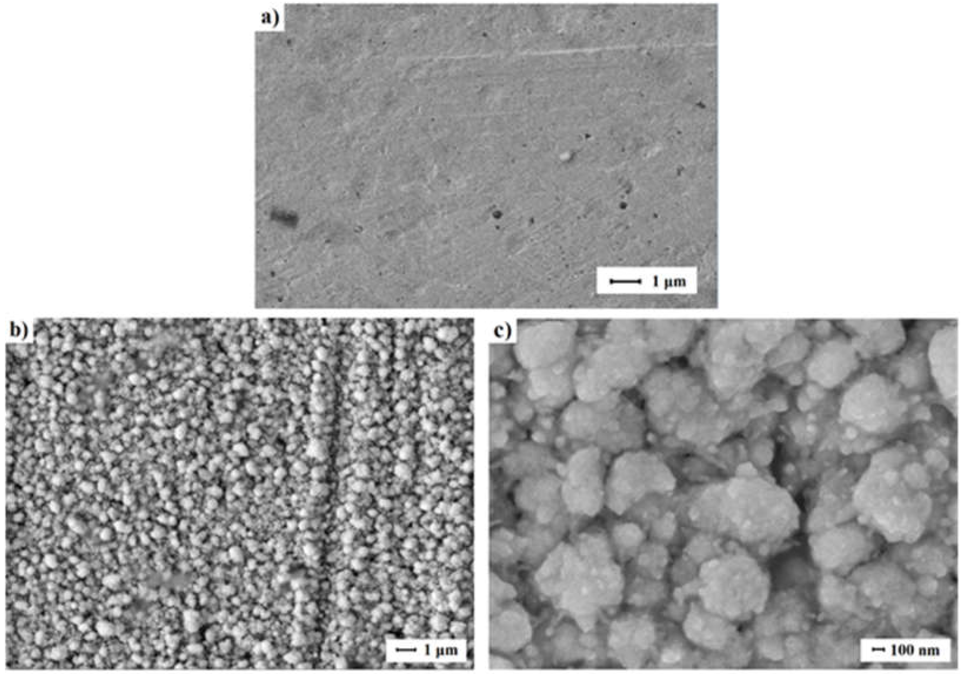 Preprints 139213 g002