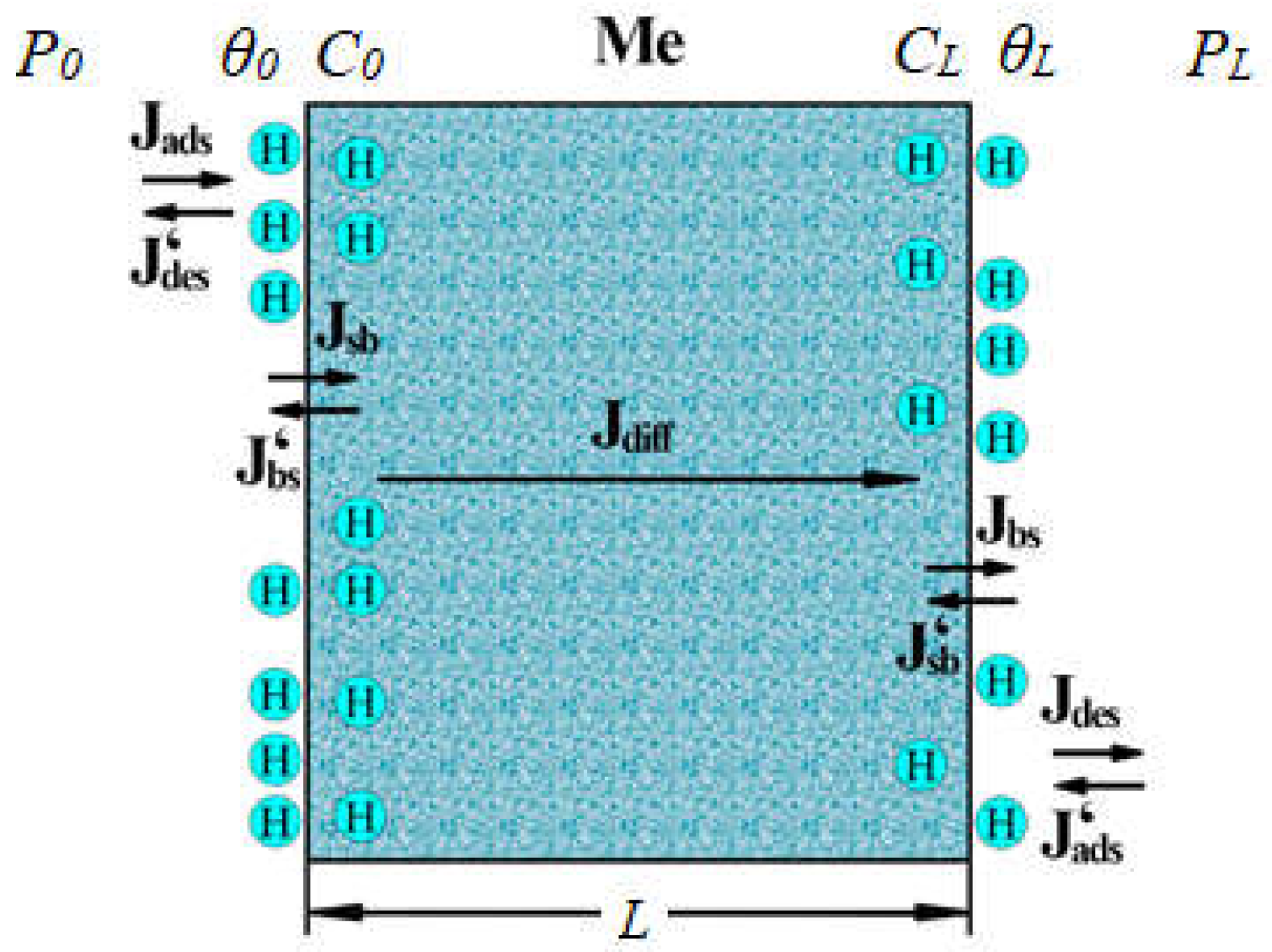 Preprints 139213 g011