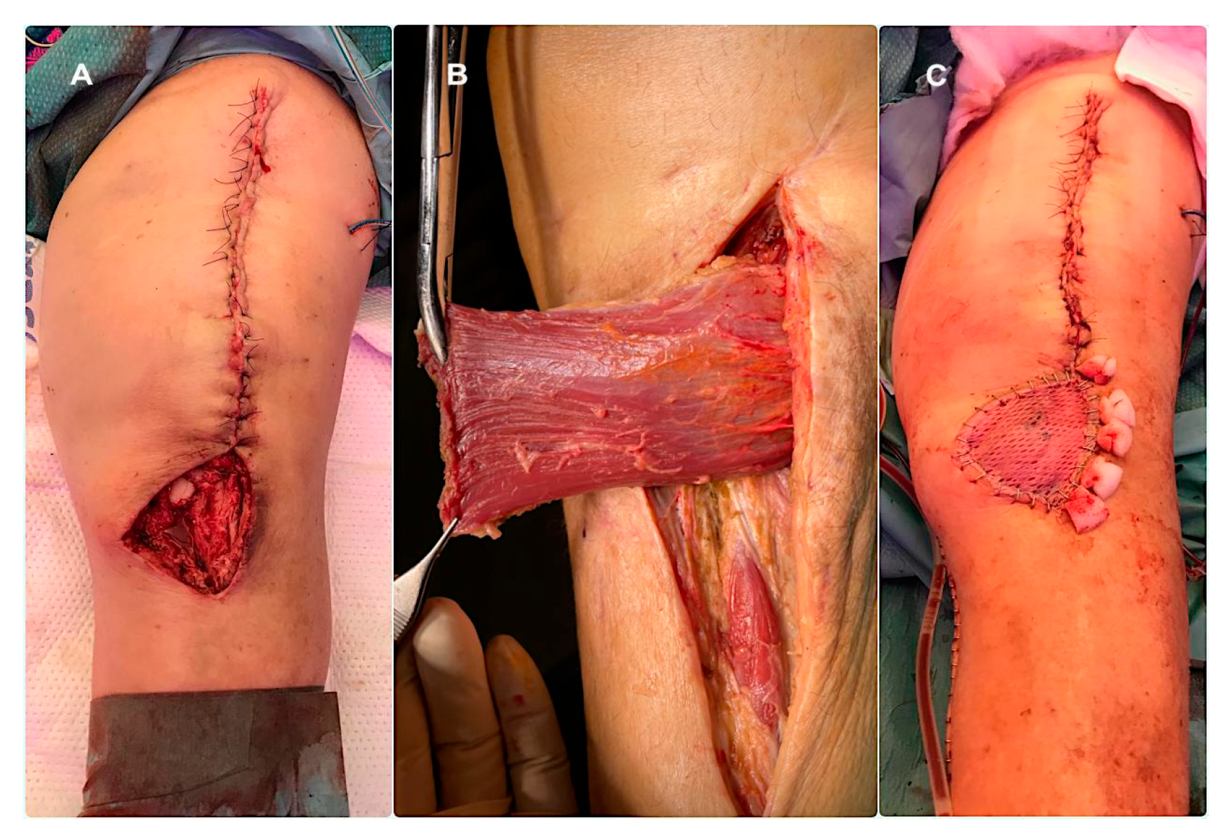 Preprints 197374 g002