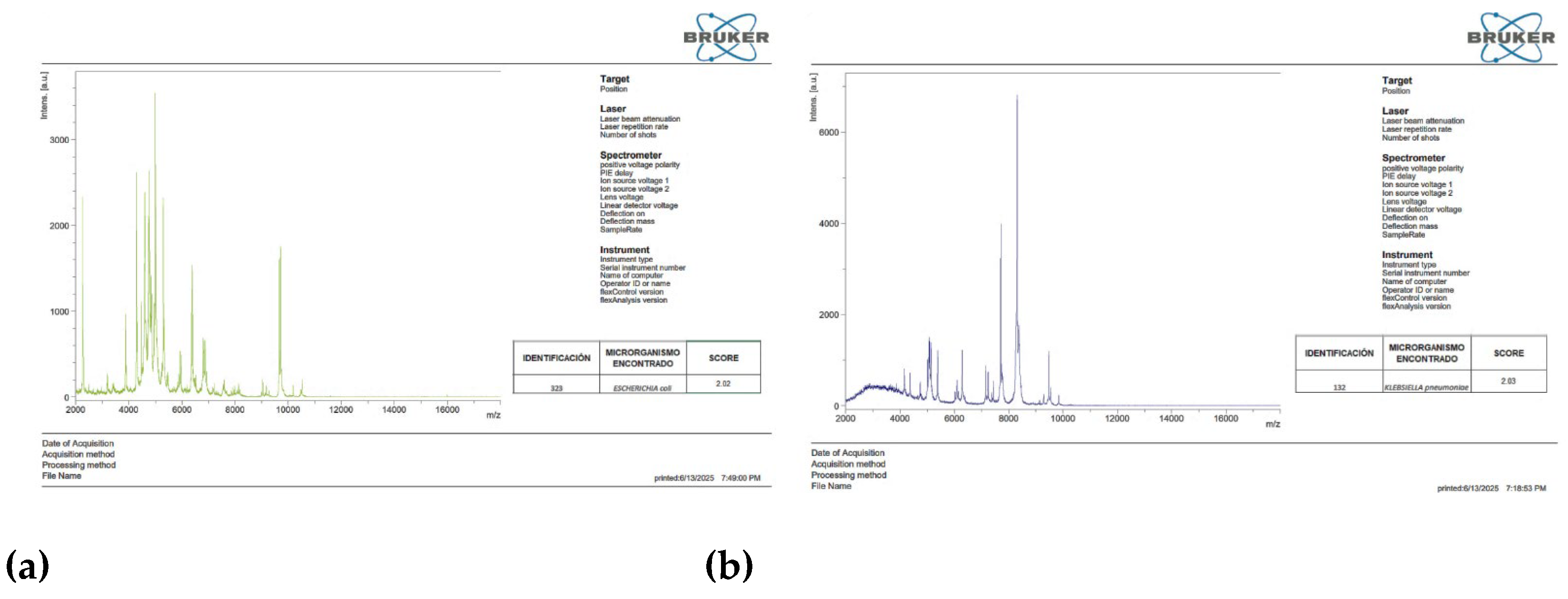 Preprints 200858 g001