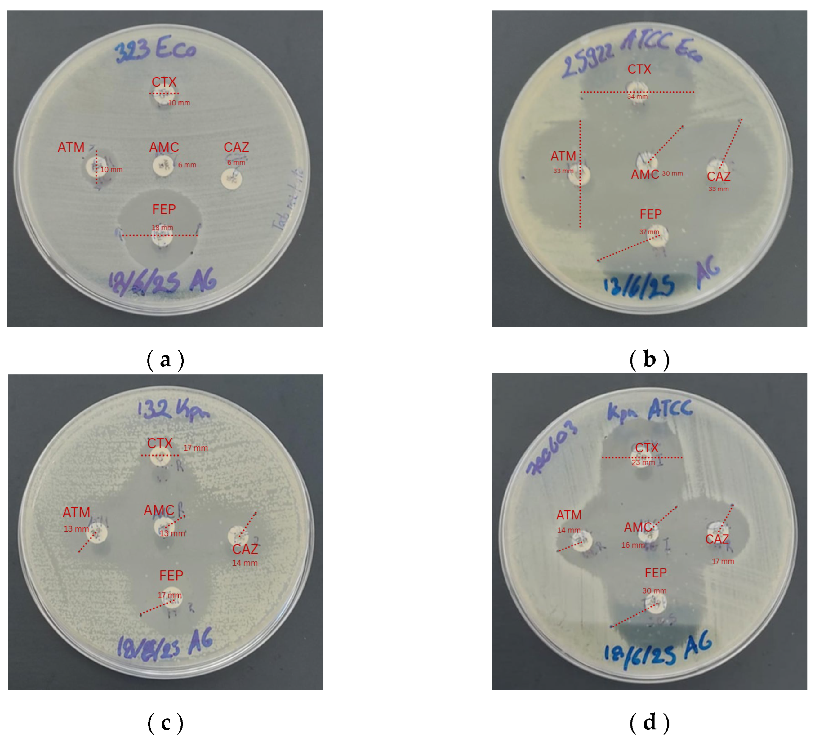 Preprints 200858 g002