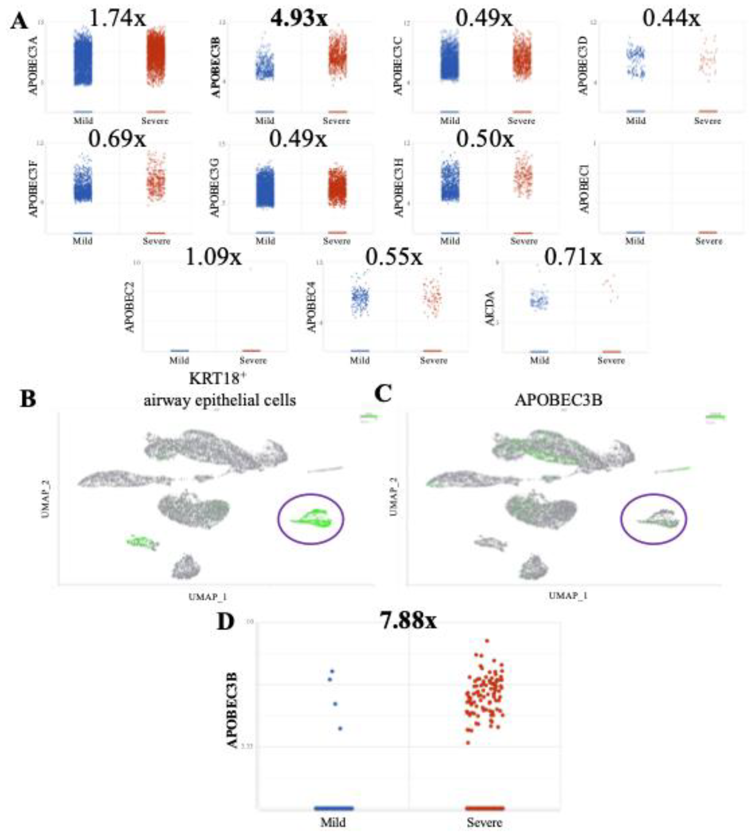 Preprints 169452 g001