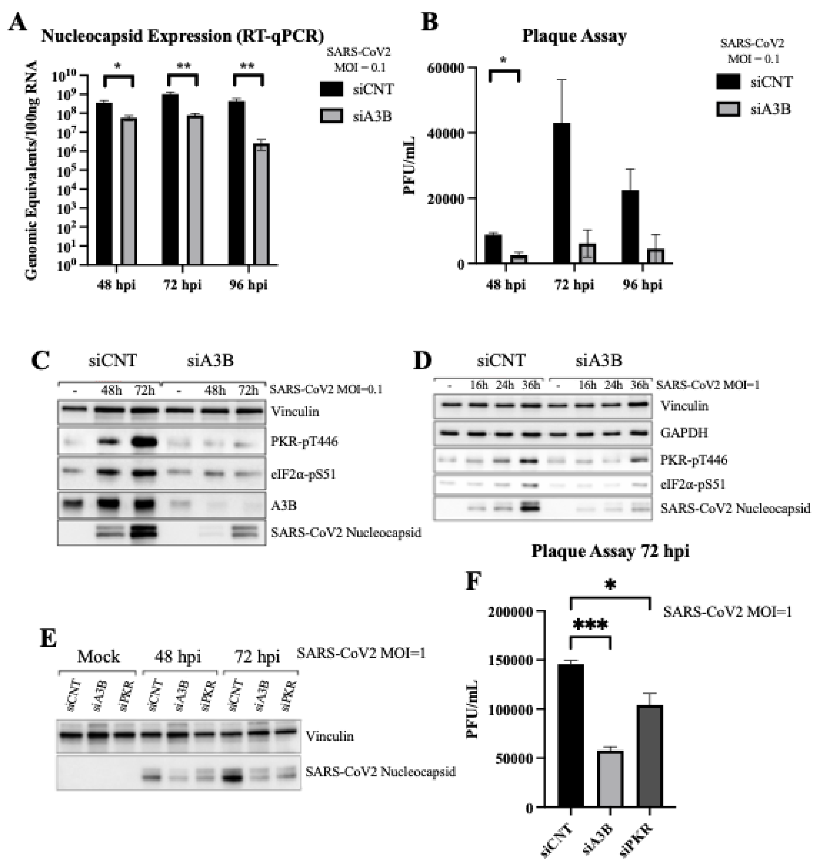 Preprints 169452 g002