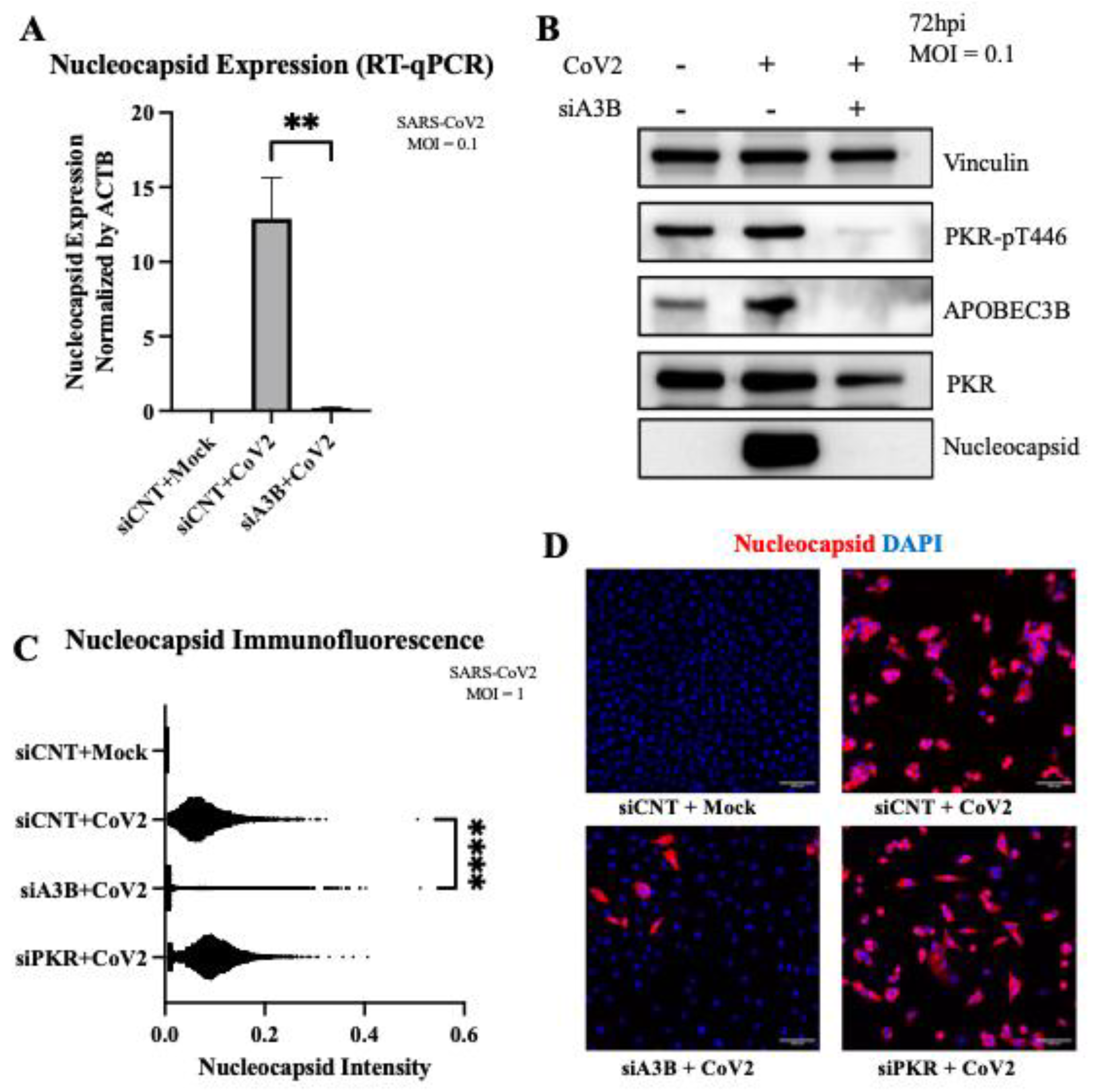Preprints 169452 g004