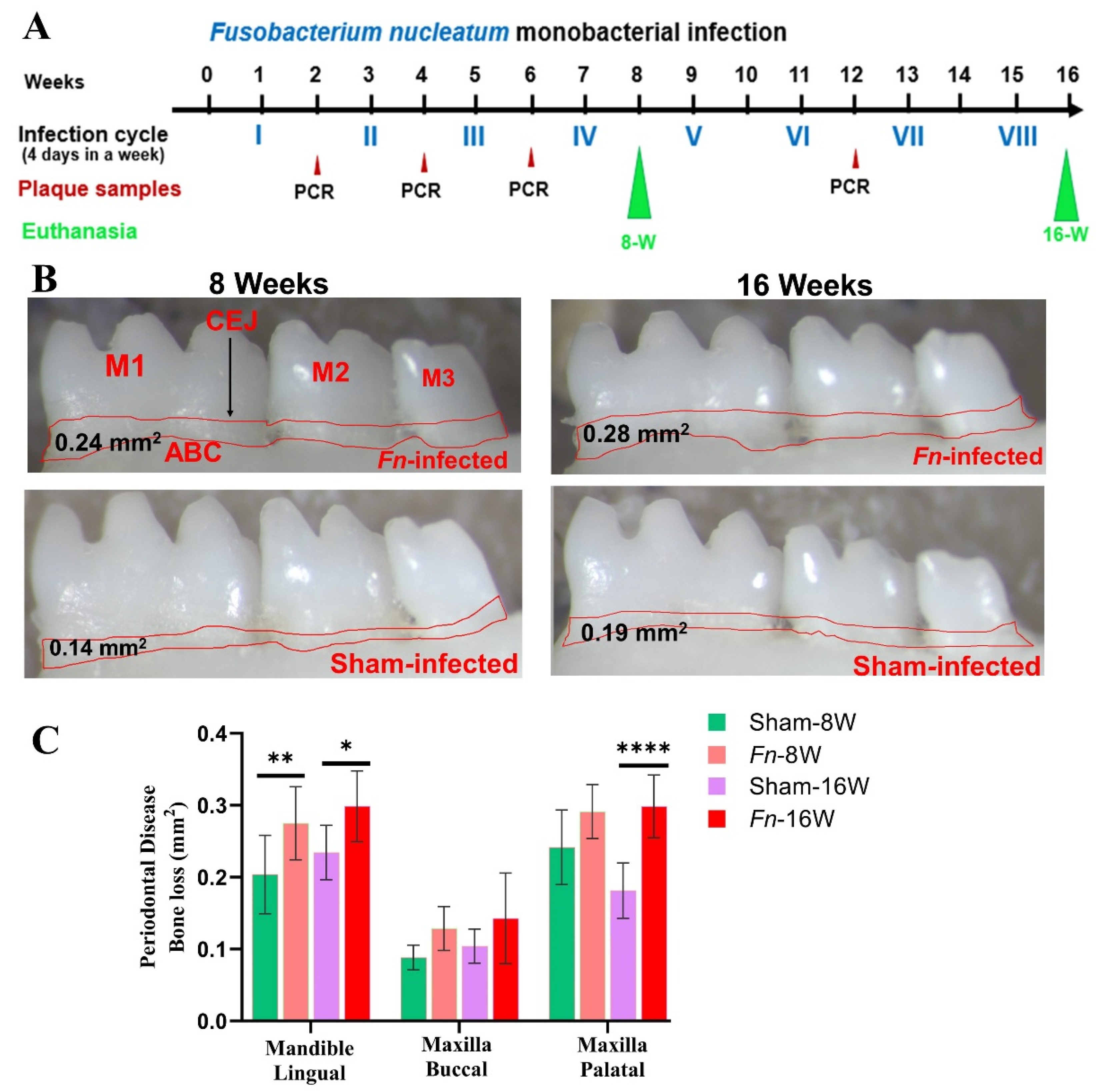 Preprints 120615 g001