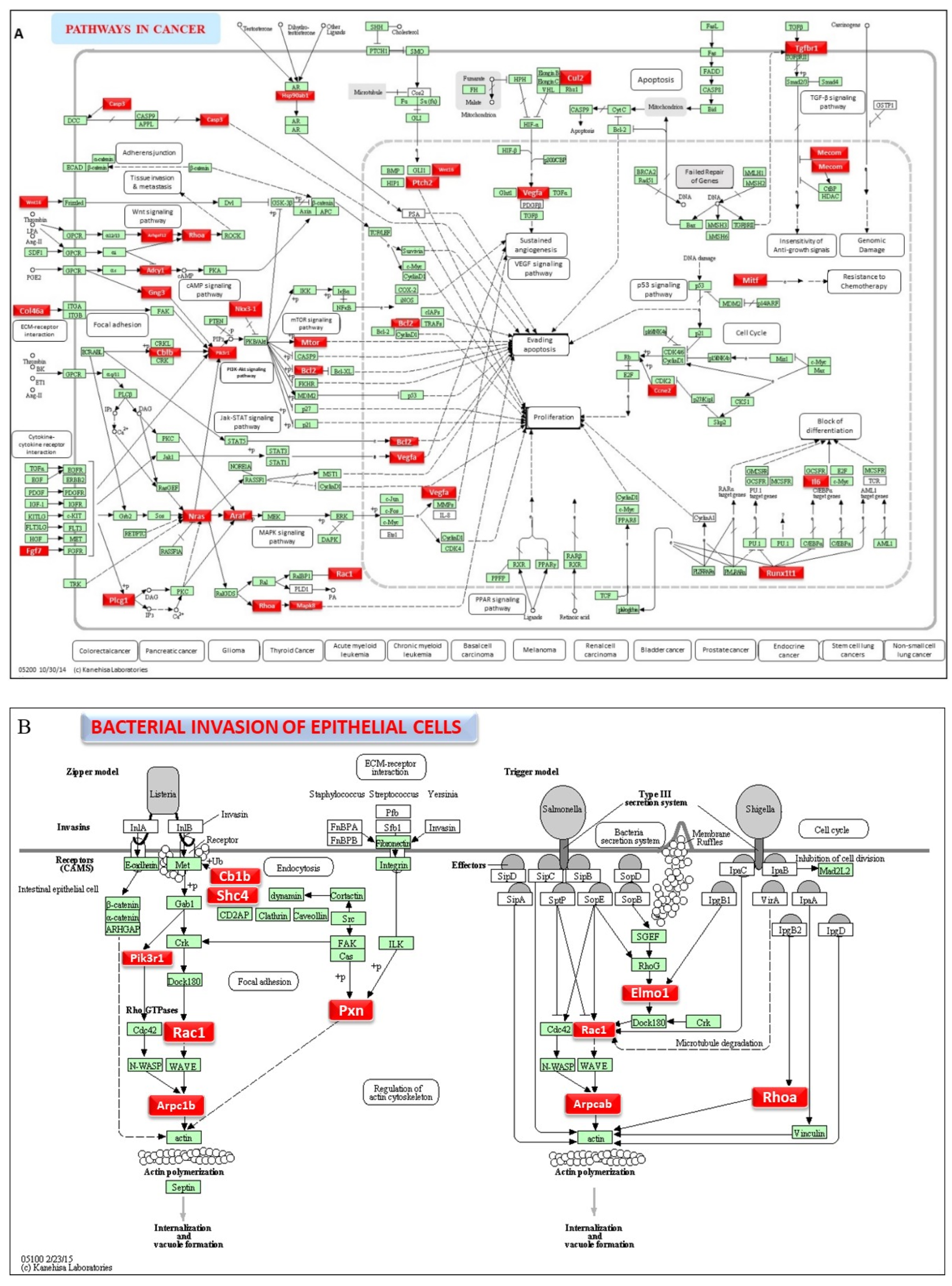 Preprints 120615 g003