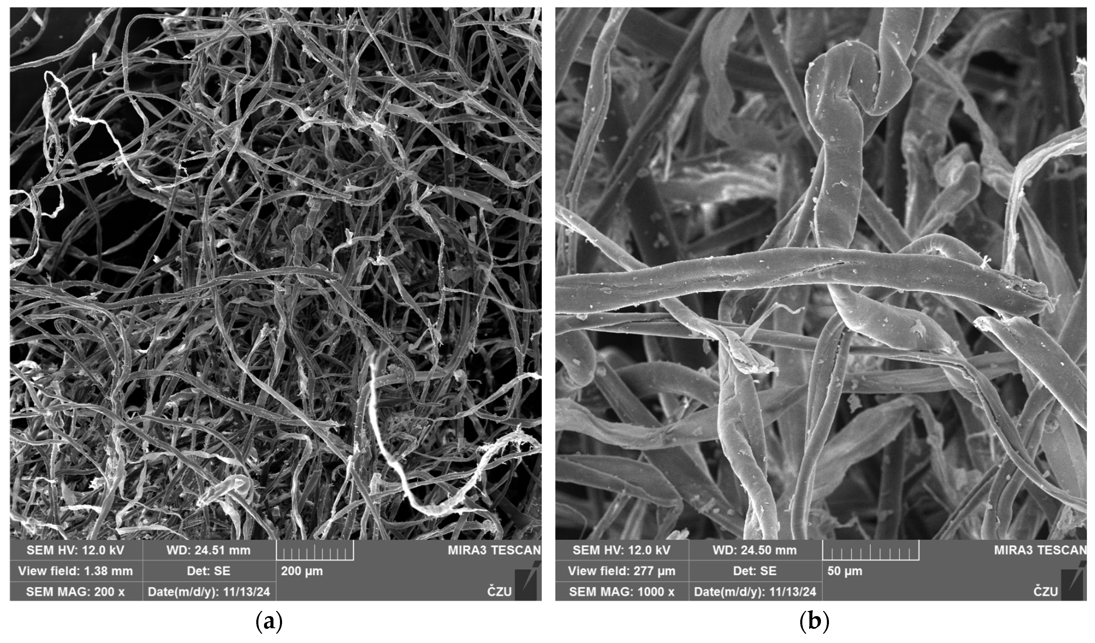 Preprints 198410 g003a