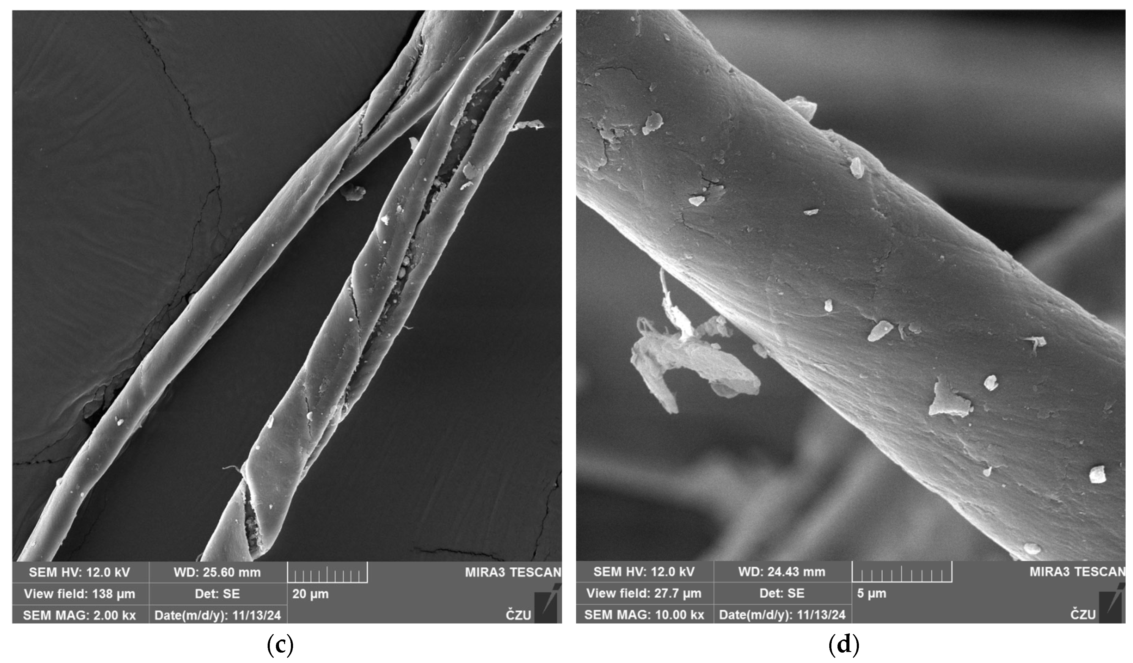 Preprints 198410 g003b