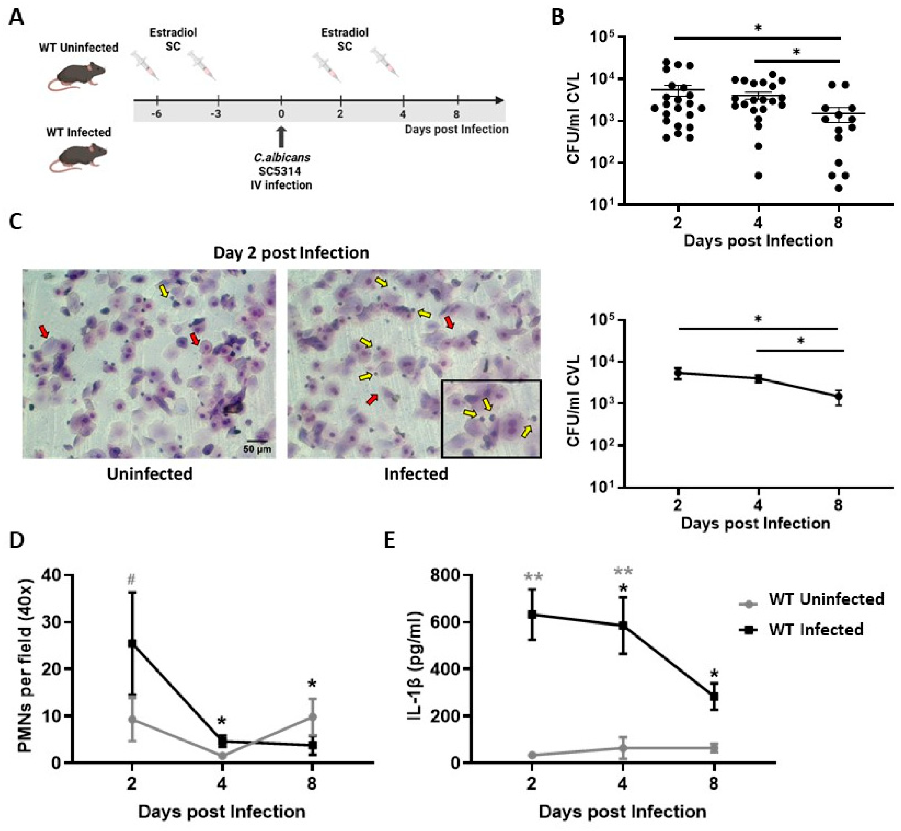 Preprints 198236 g001