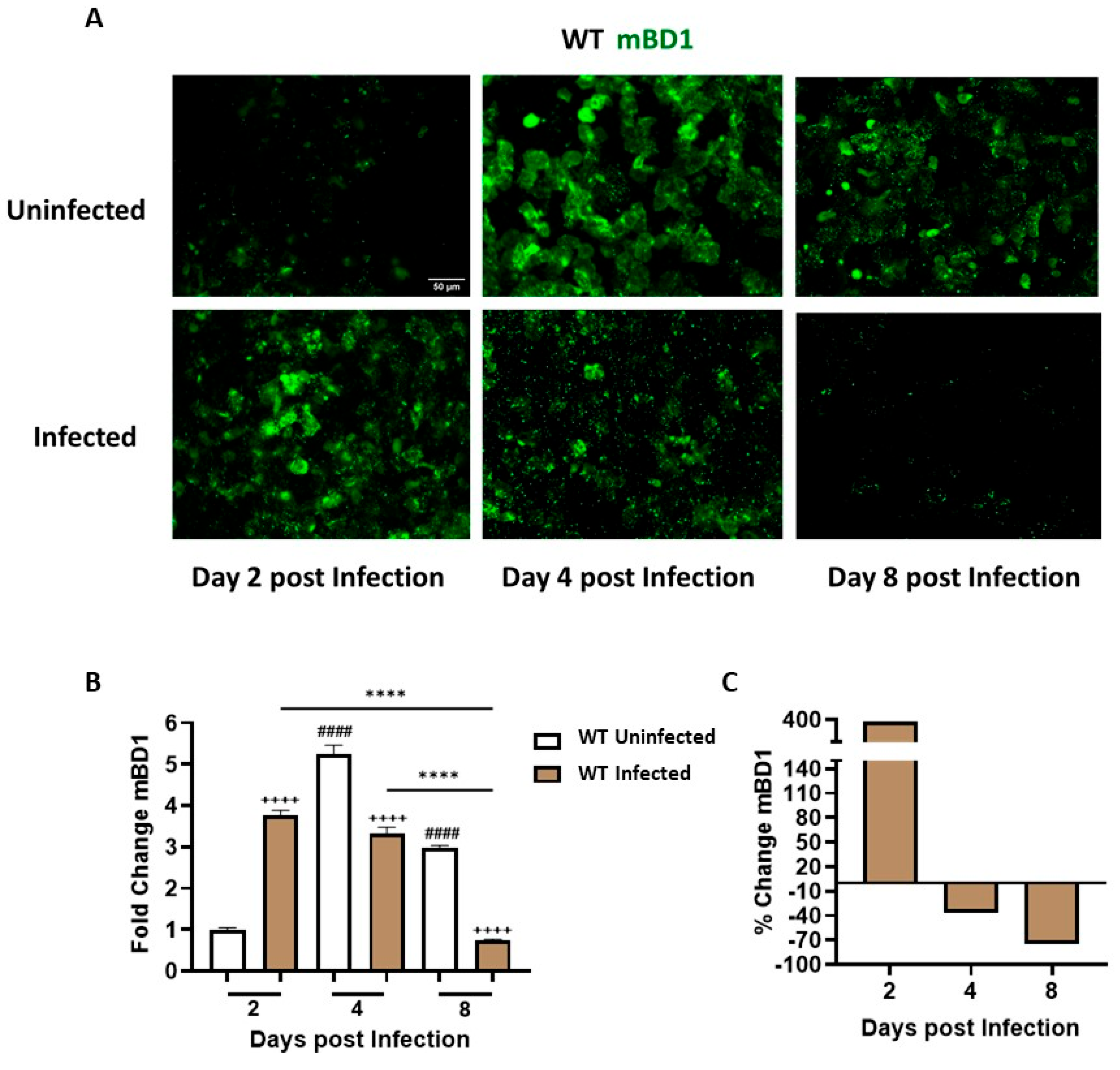 Preprints 198236 g002