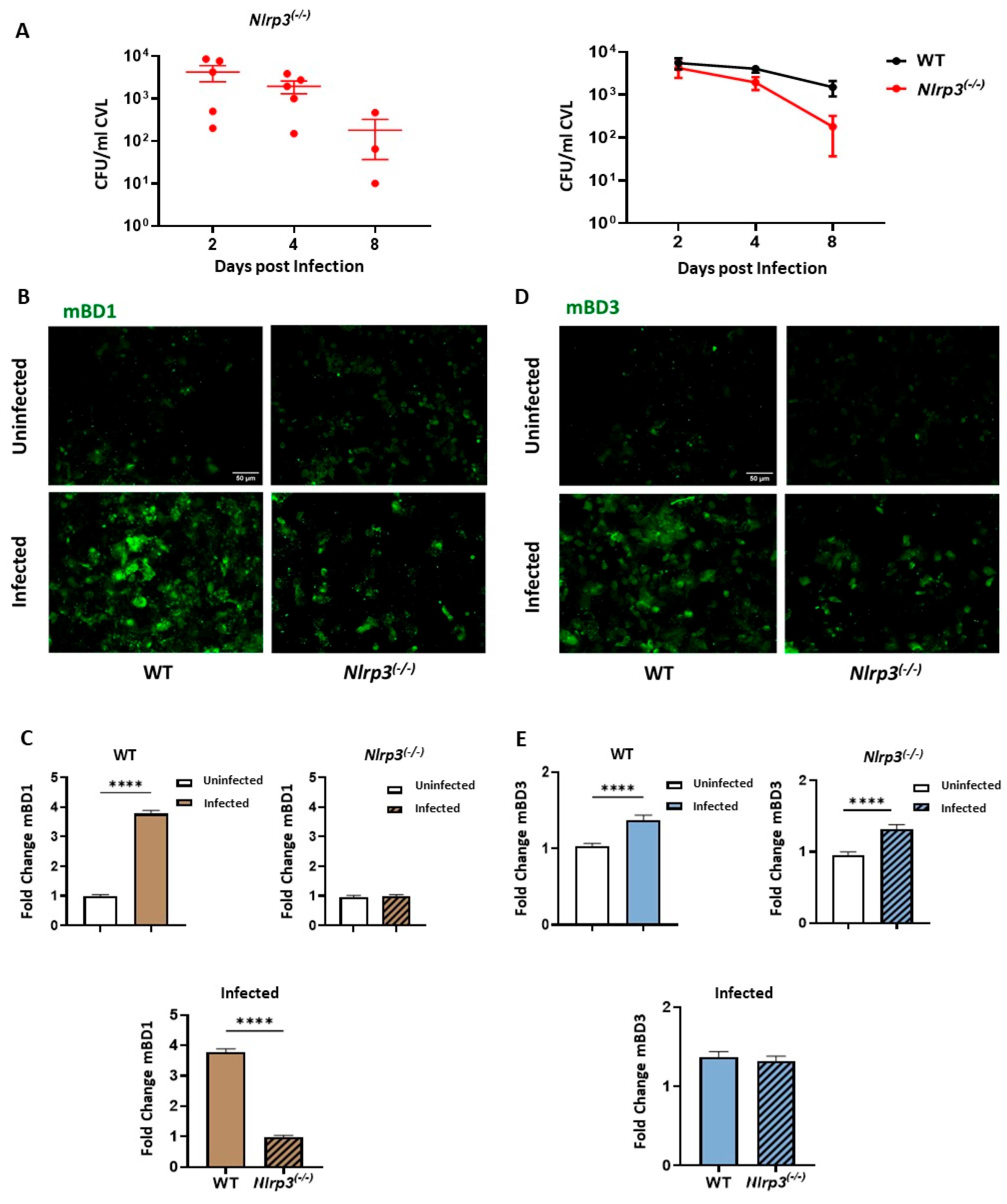 Preprints 198236 g004