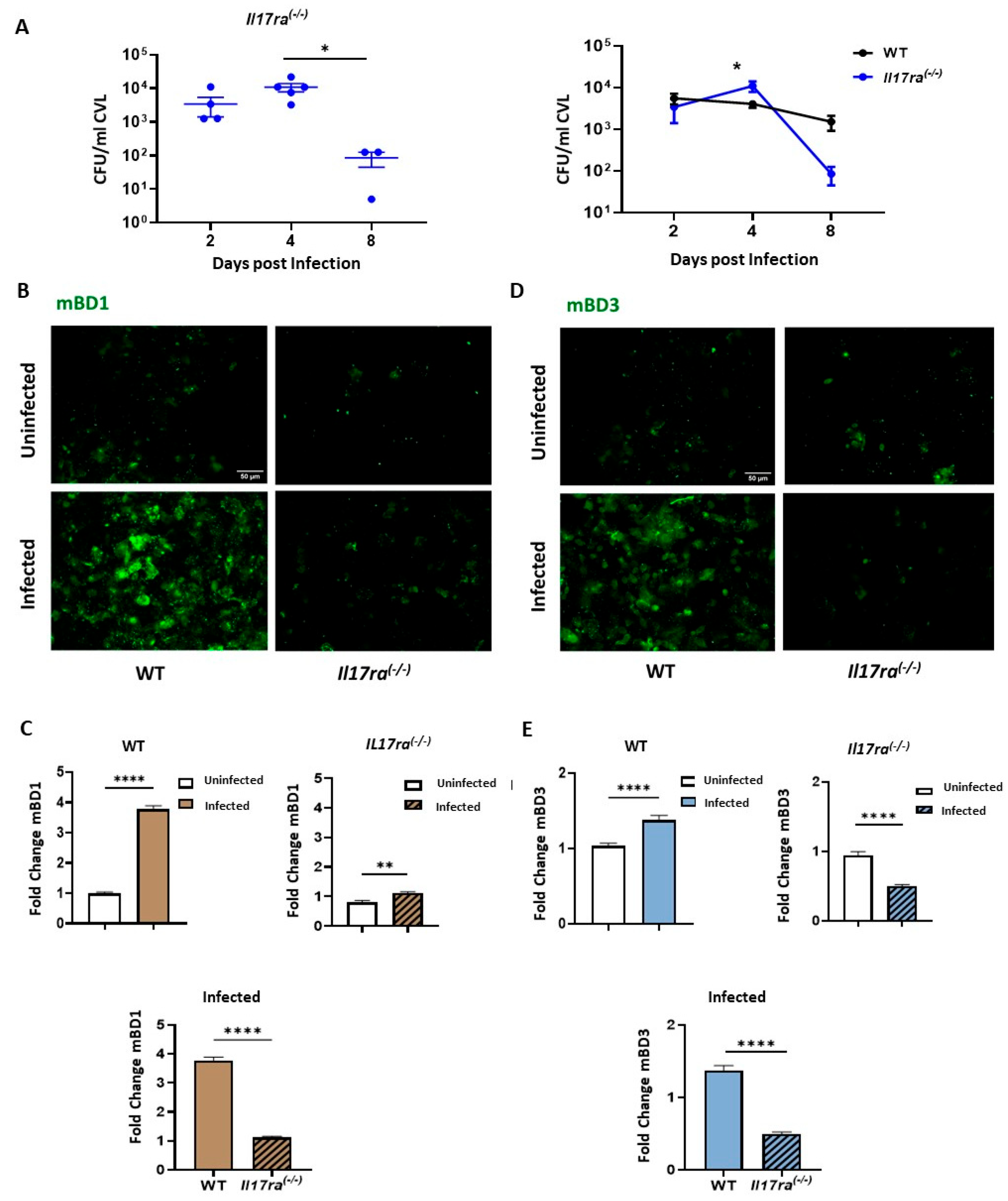 Preprints 198236 g005