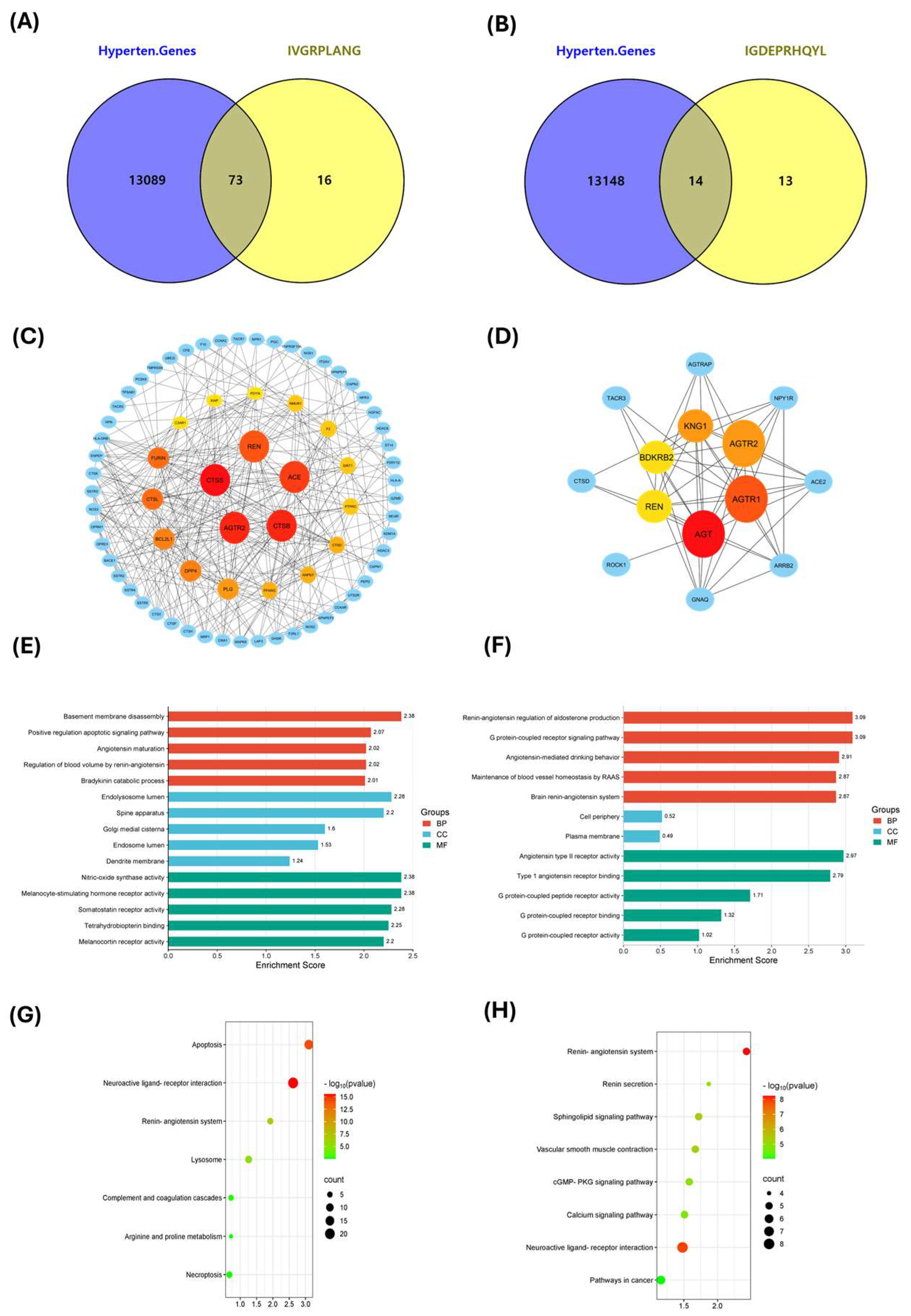 Preprints 161535 g005