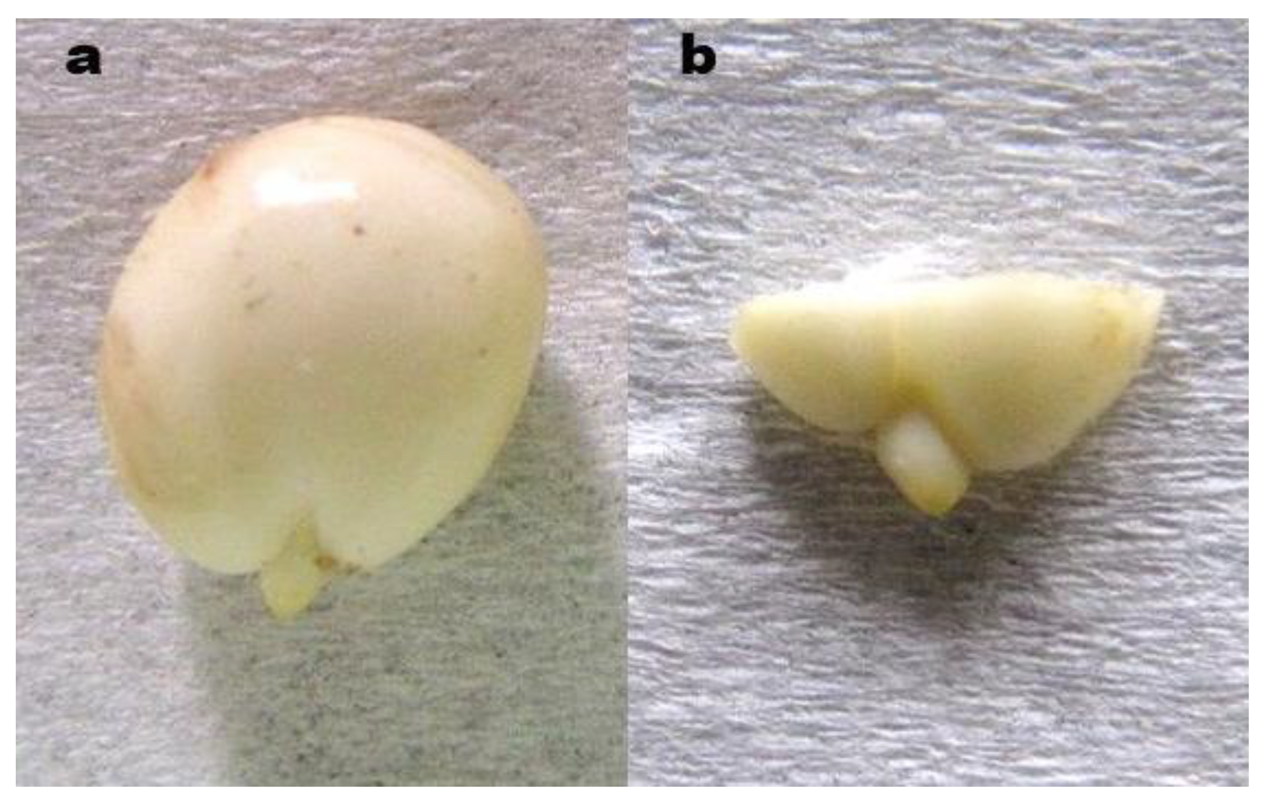 Preprints 149380 g002