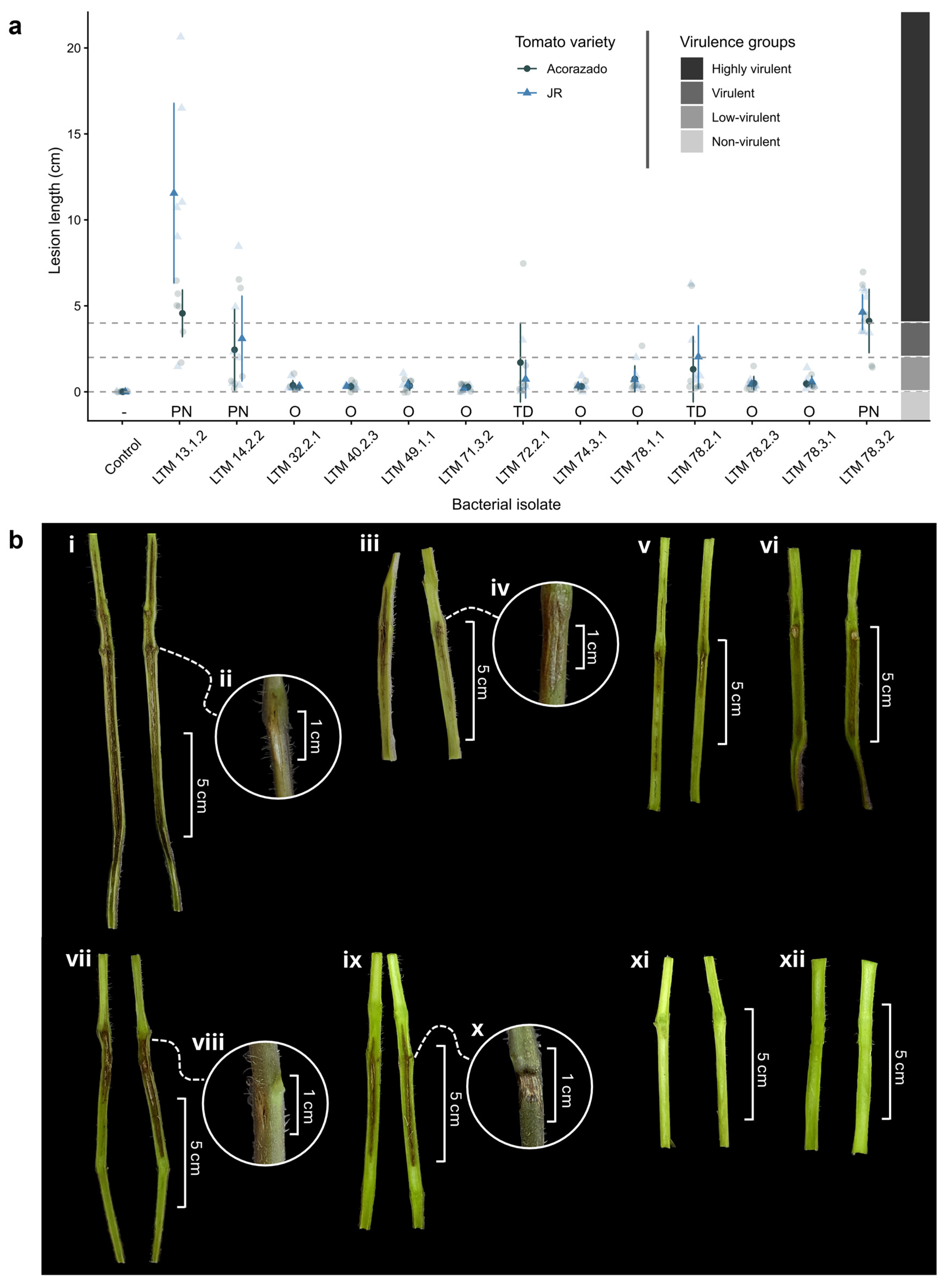 Preprints 178809 g001