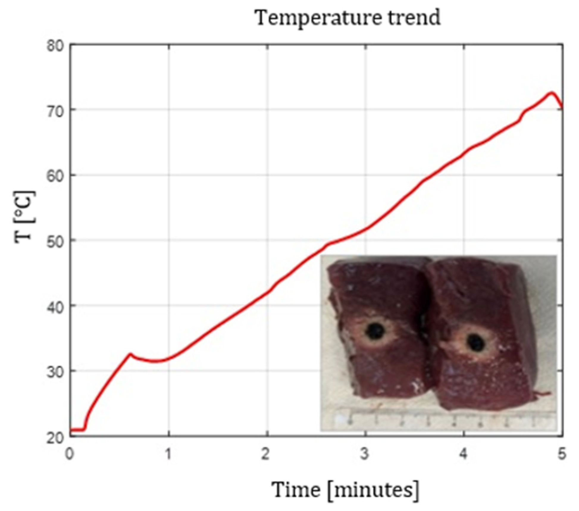 Preprints 193064 g004