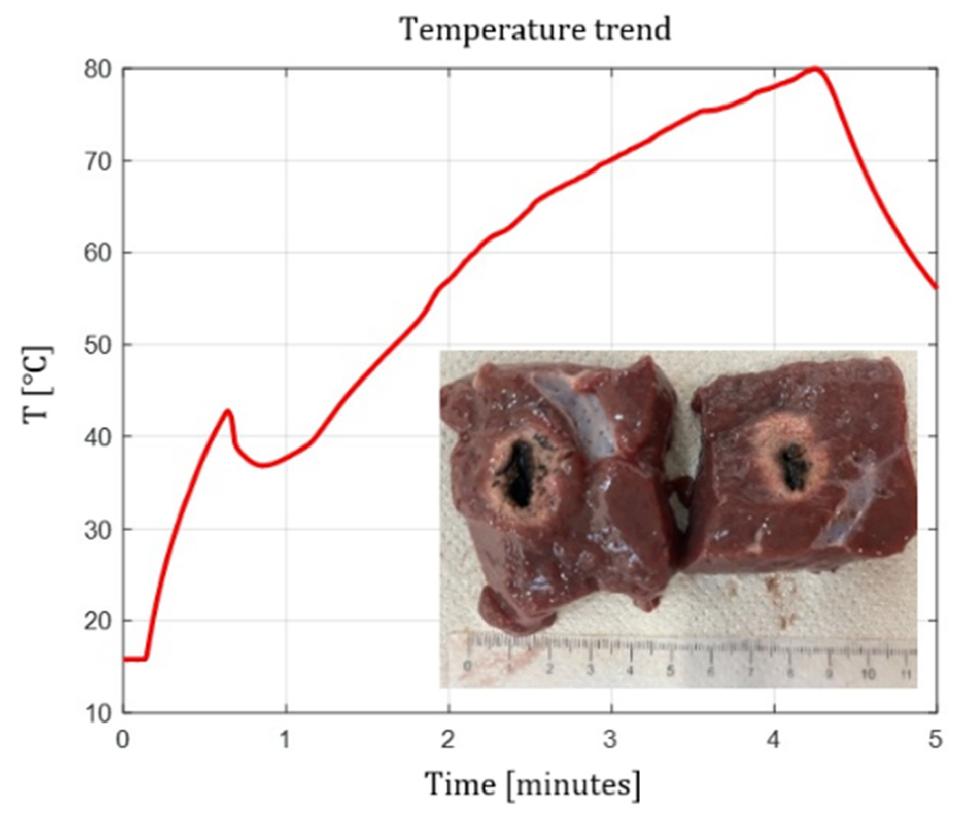 Preprints 193064 g005
