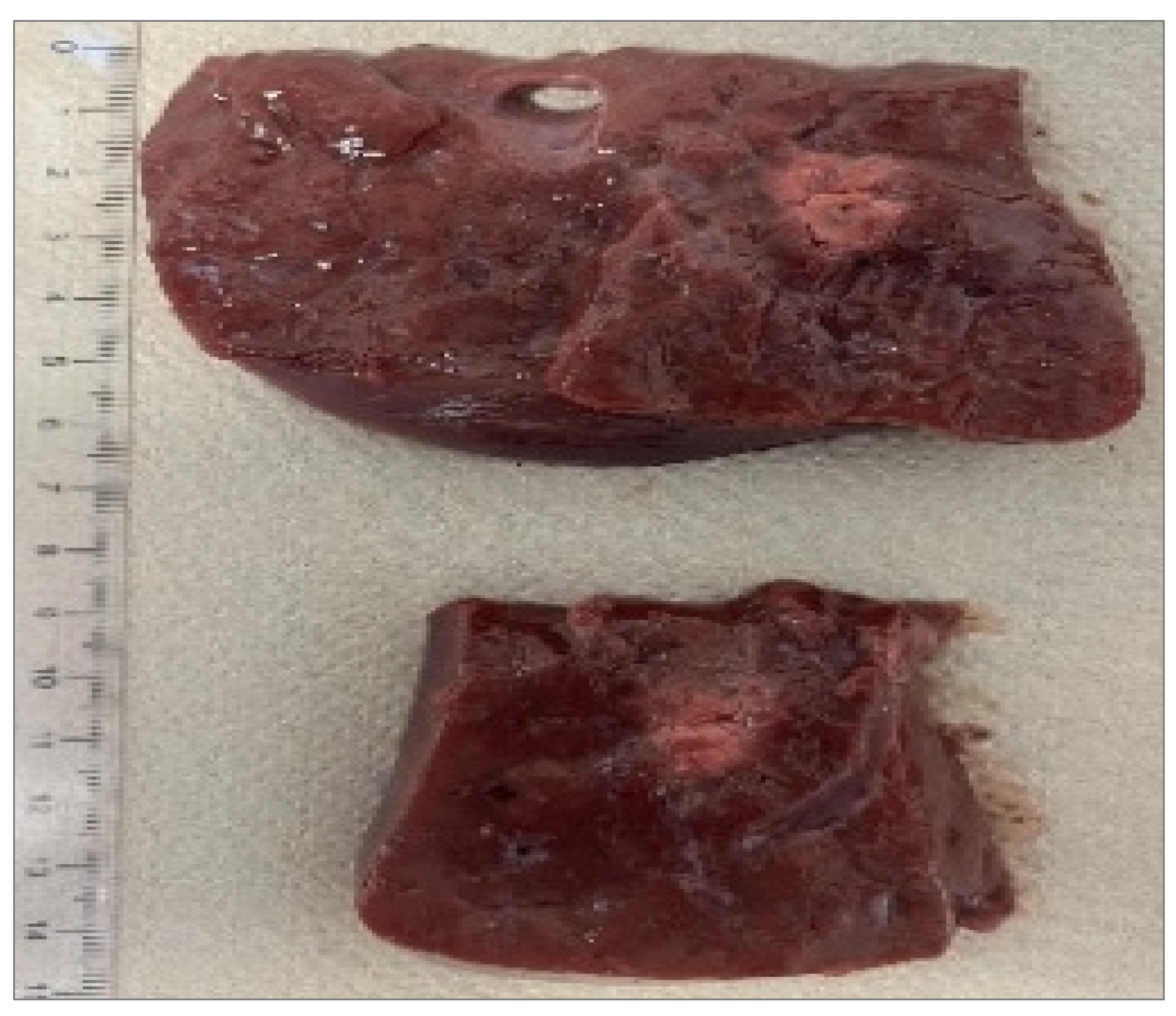 Preprints 193064 g006