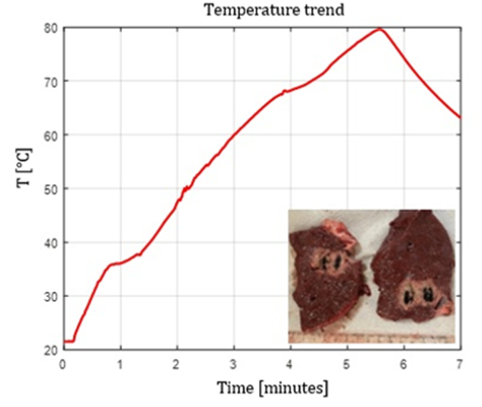 Preprints 193064 g009