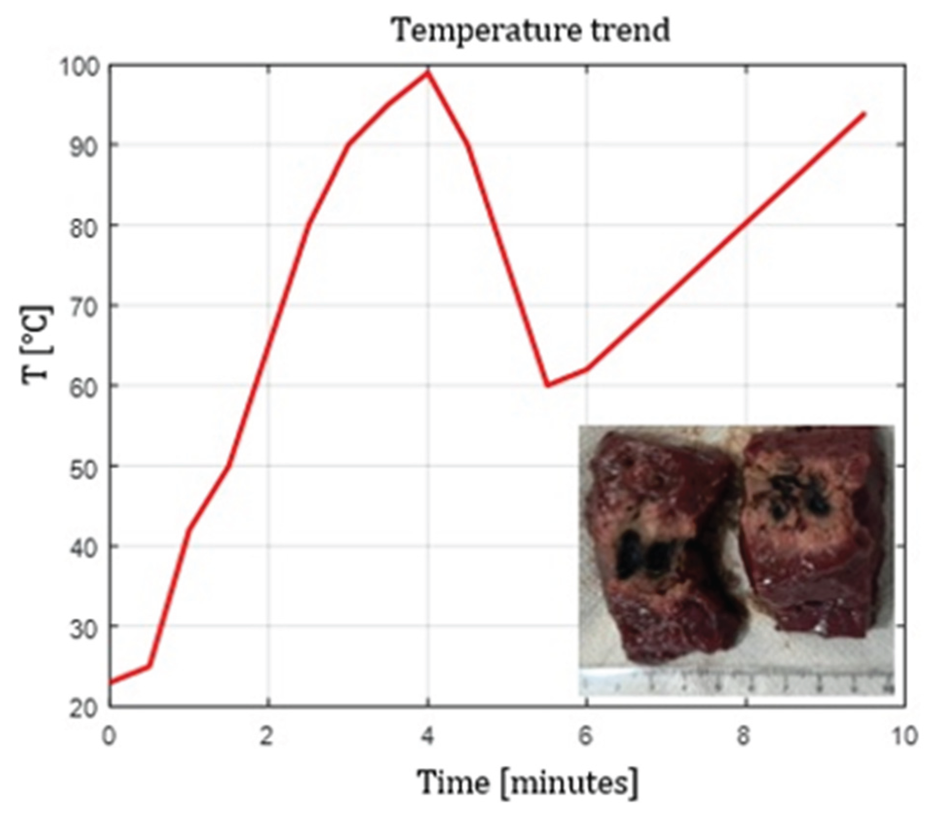 Preprints 193064 g010