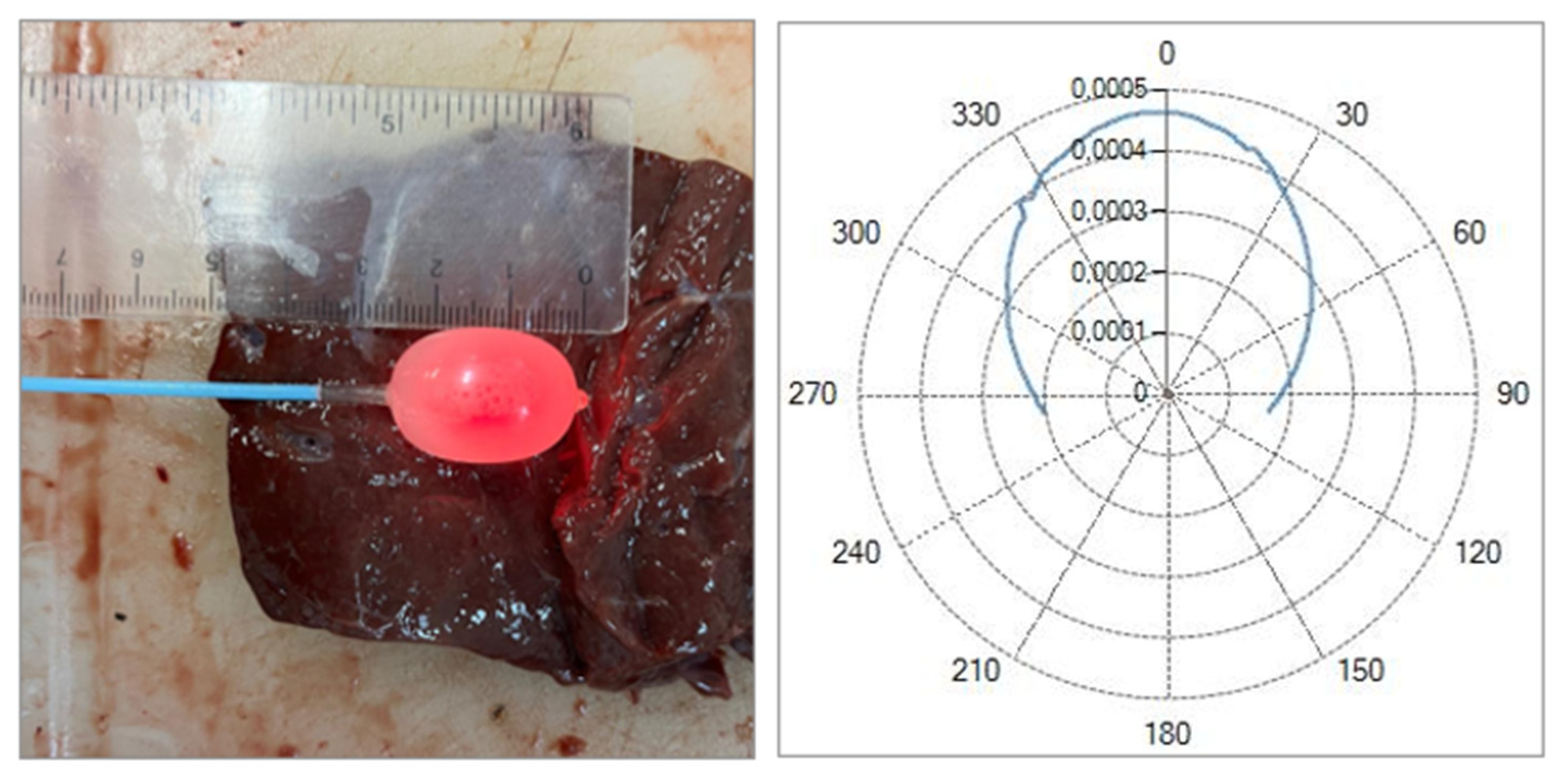 Preprints 193064 g011
