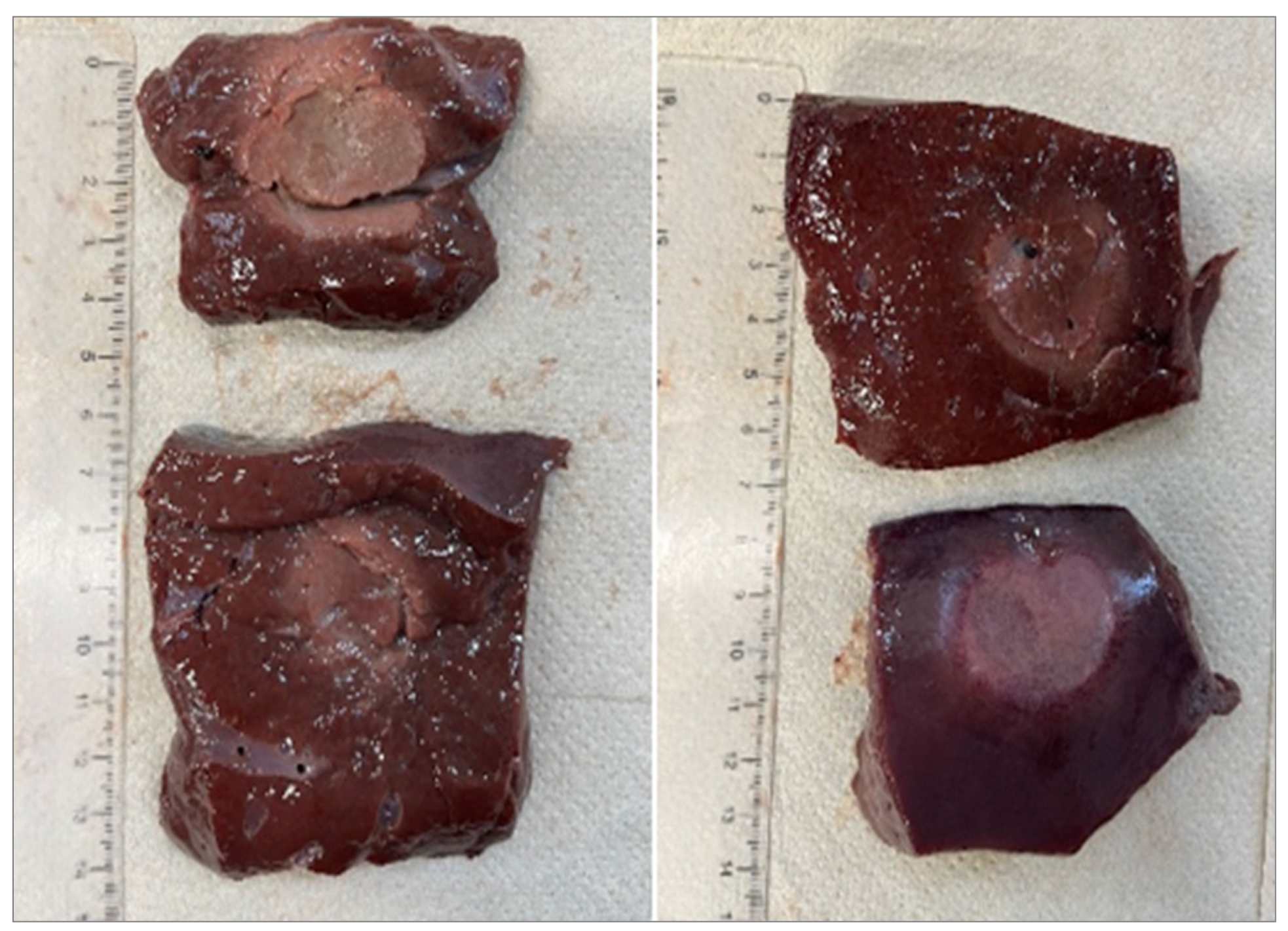 Preprints 193064 g012