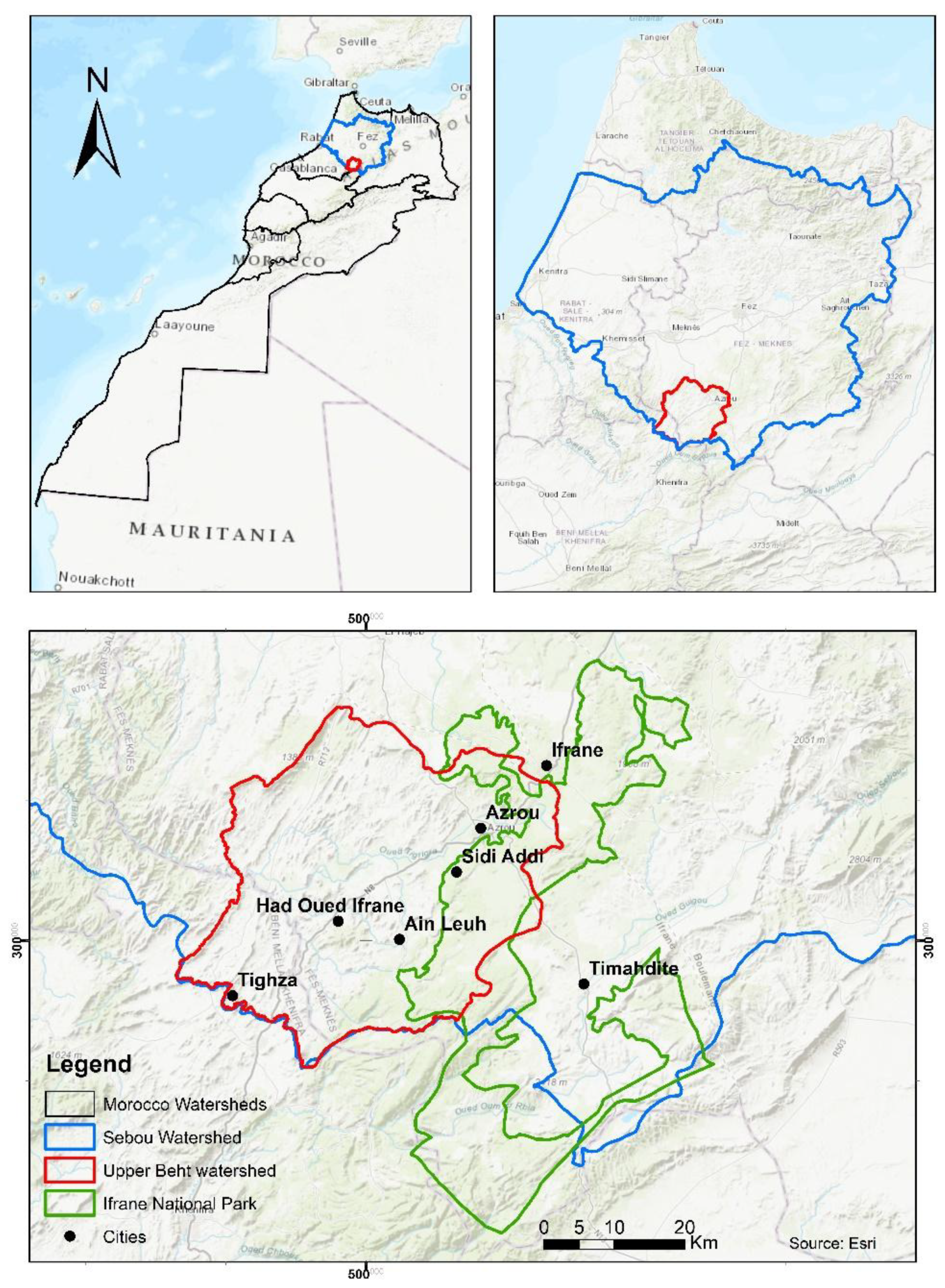 Preprints 147868 g001